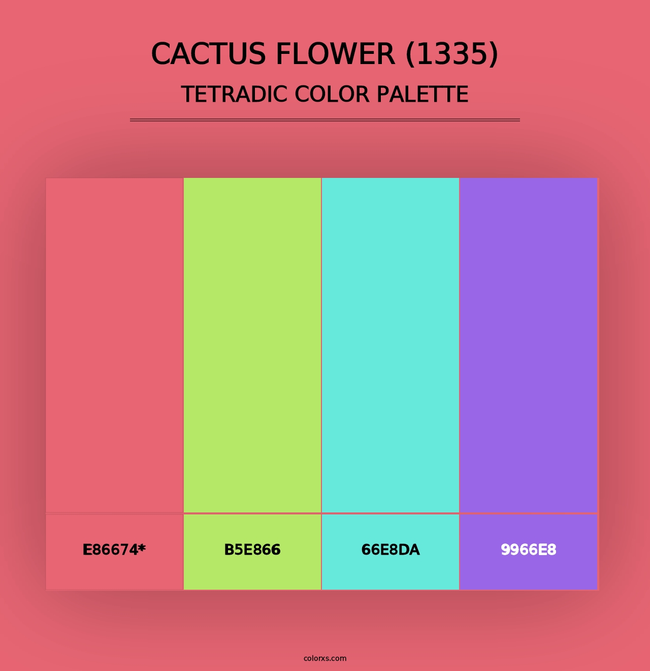 Cactus Flower (1335) - Tetradic Color Palette