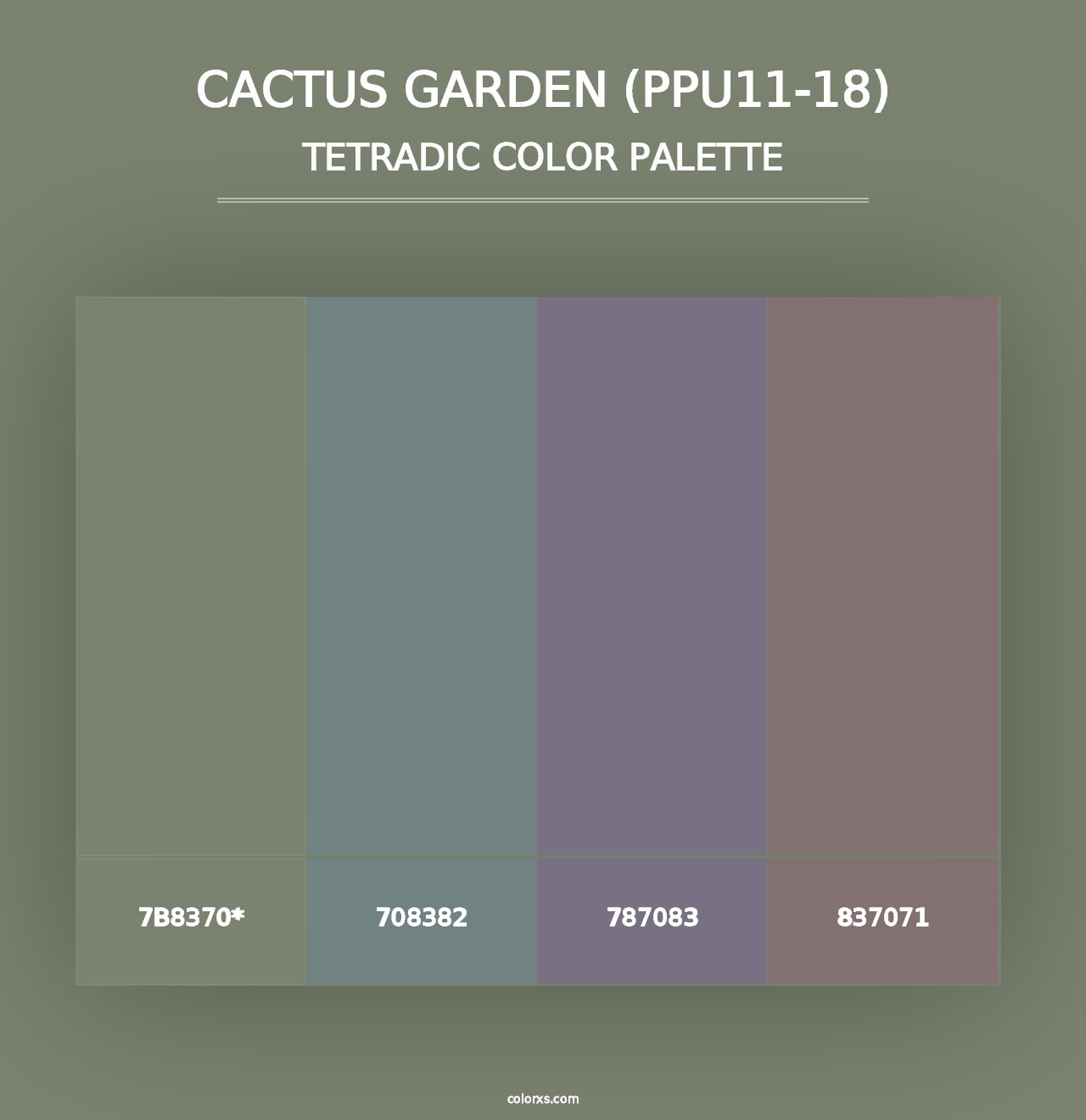 Cactus Garden (PPU11-18) - Tetradic Color Palette