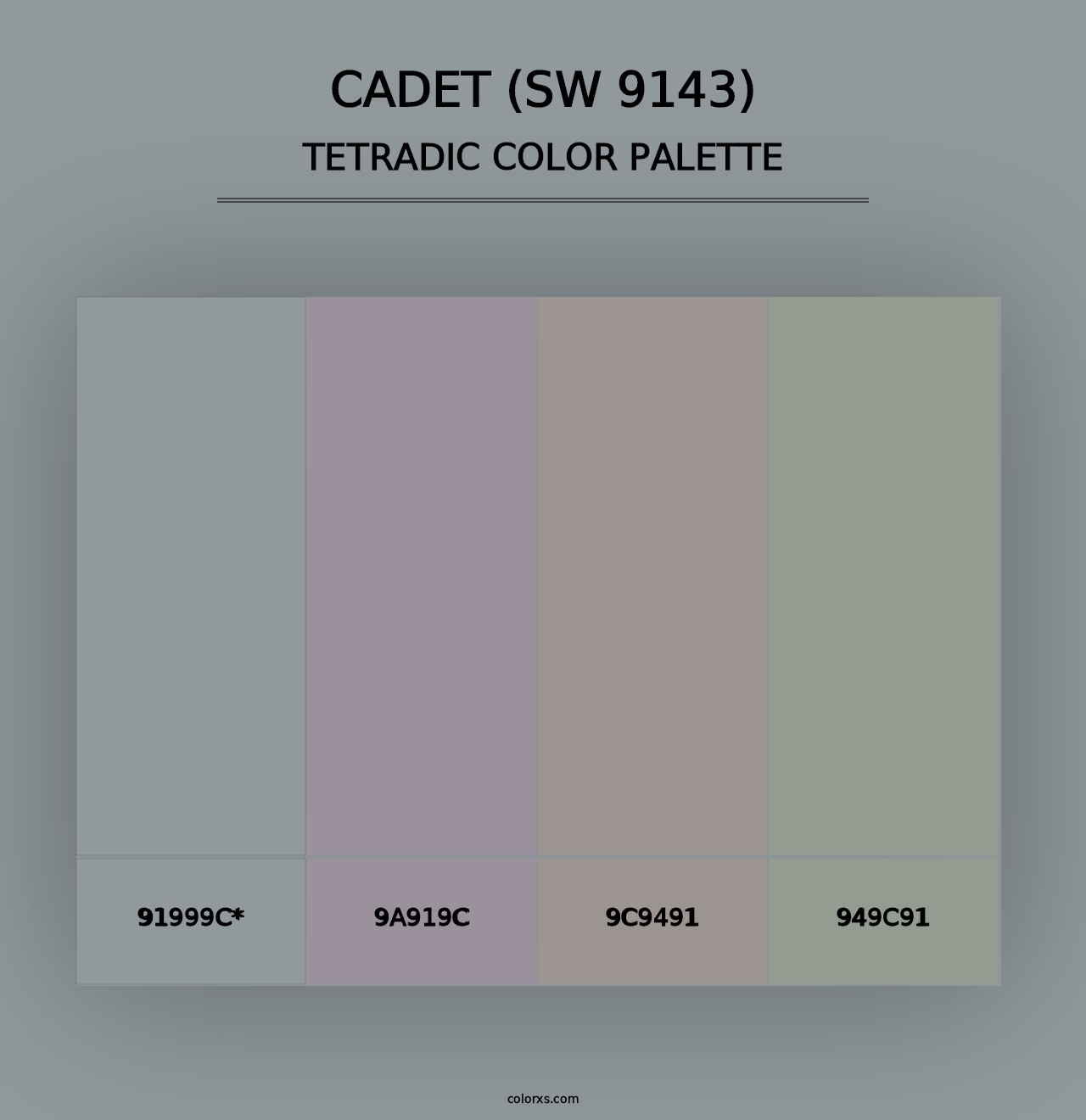 Cadet (SW 9143) - Tetradic Color Palette