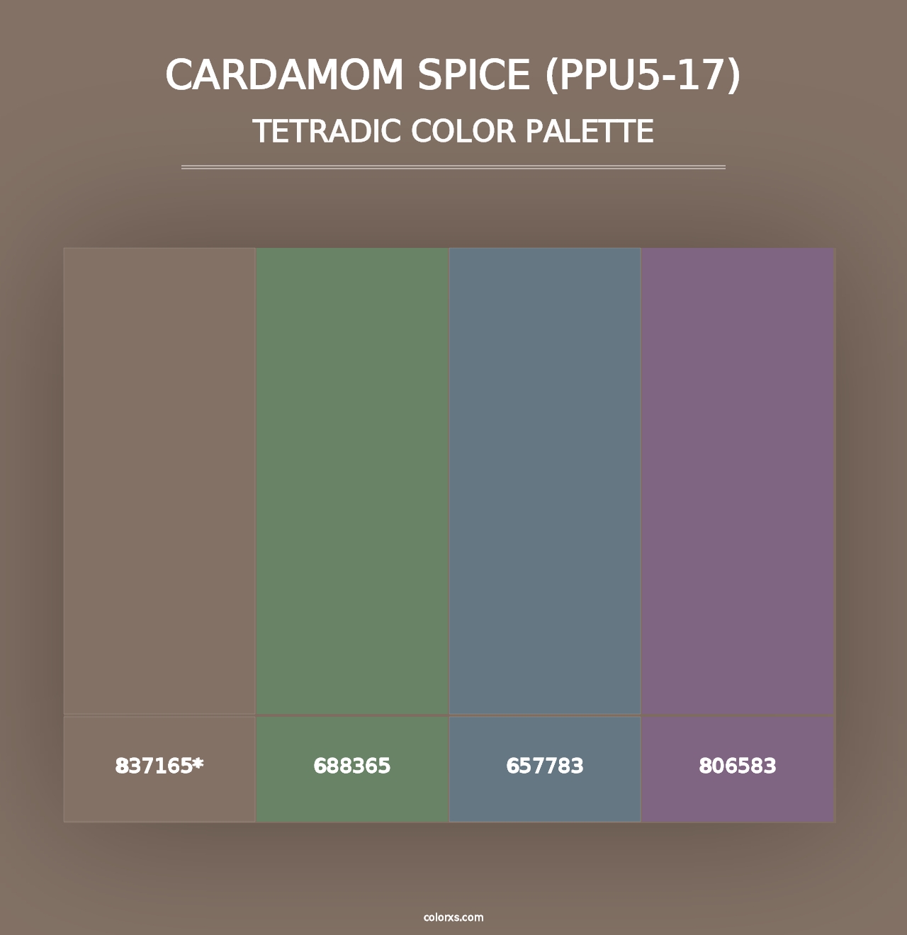 Cardamom Spice (PPU5-17) - Tetradic Color Palette