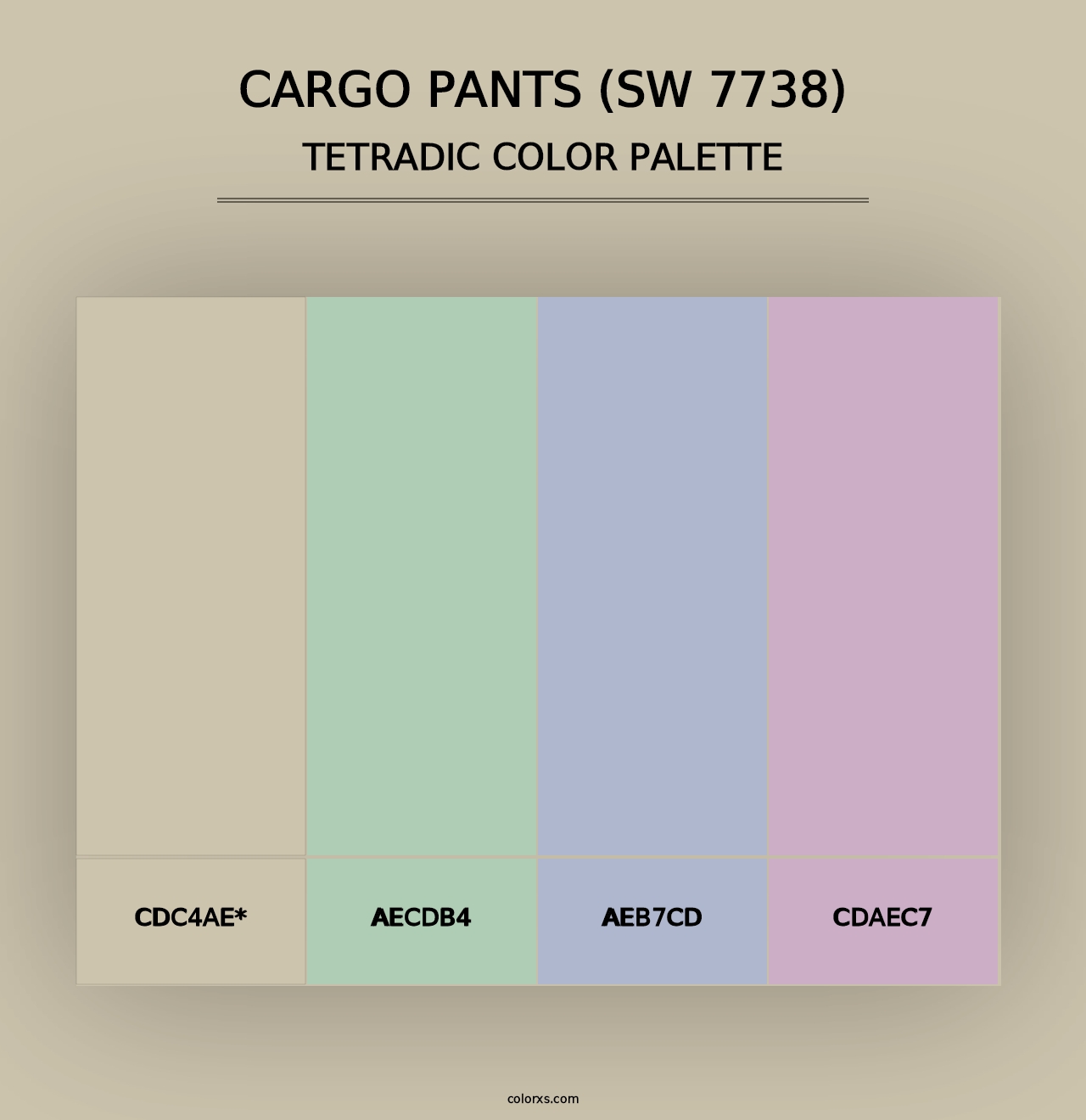 Cargo Pants (SW 7738) - Tetradic Color Palette