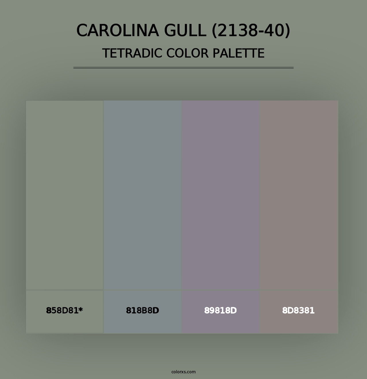 Carolina Gull (2138-40) - Tetradic Color Palette