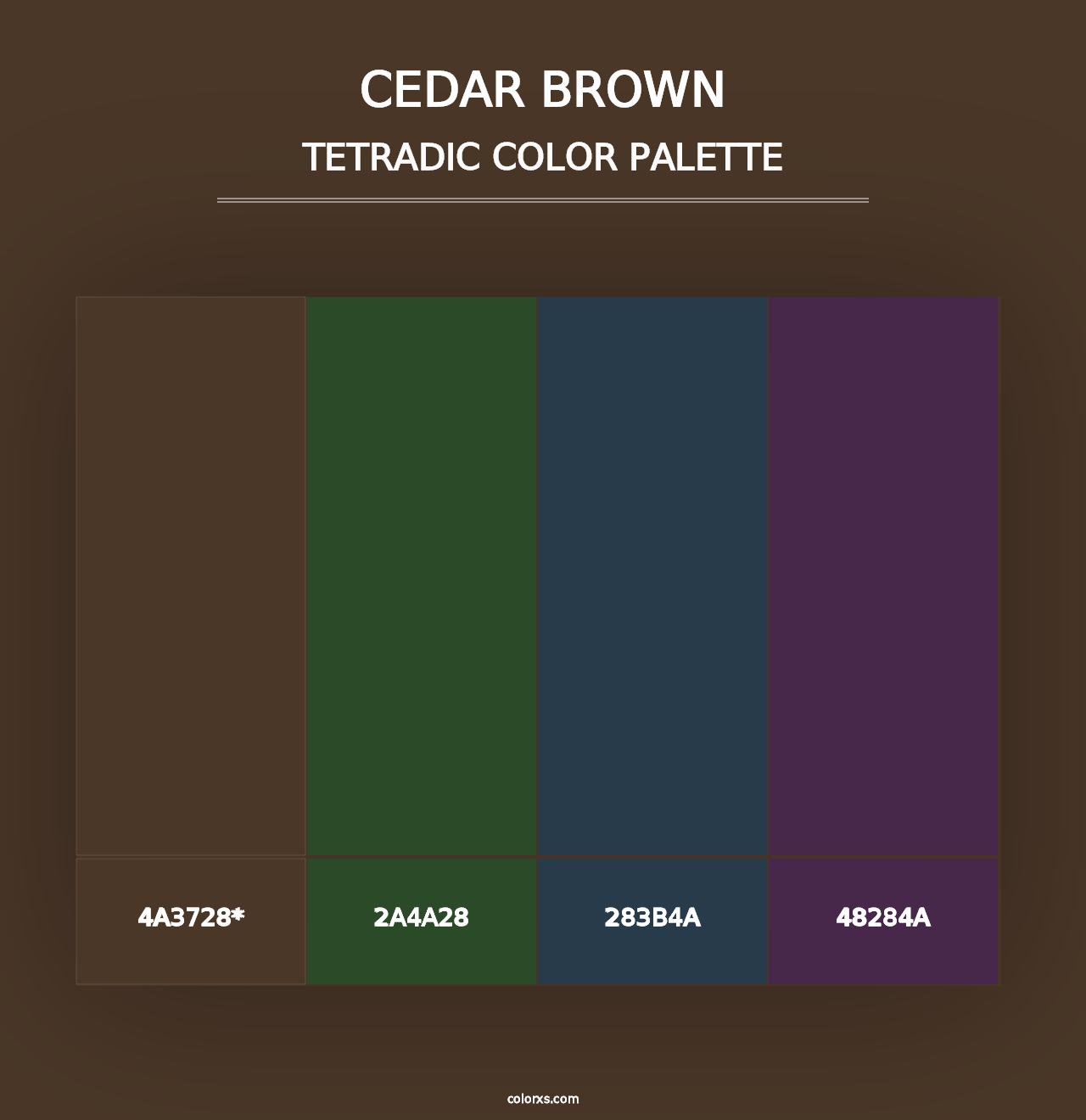 Cedar Brown - Tetradic Color Palette