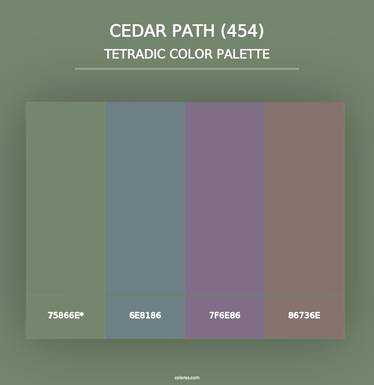 Cedar Path (454) - Tetradic Color Palette