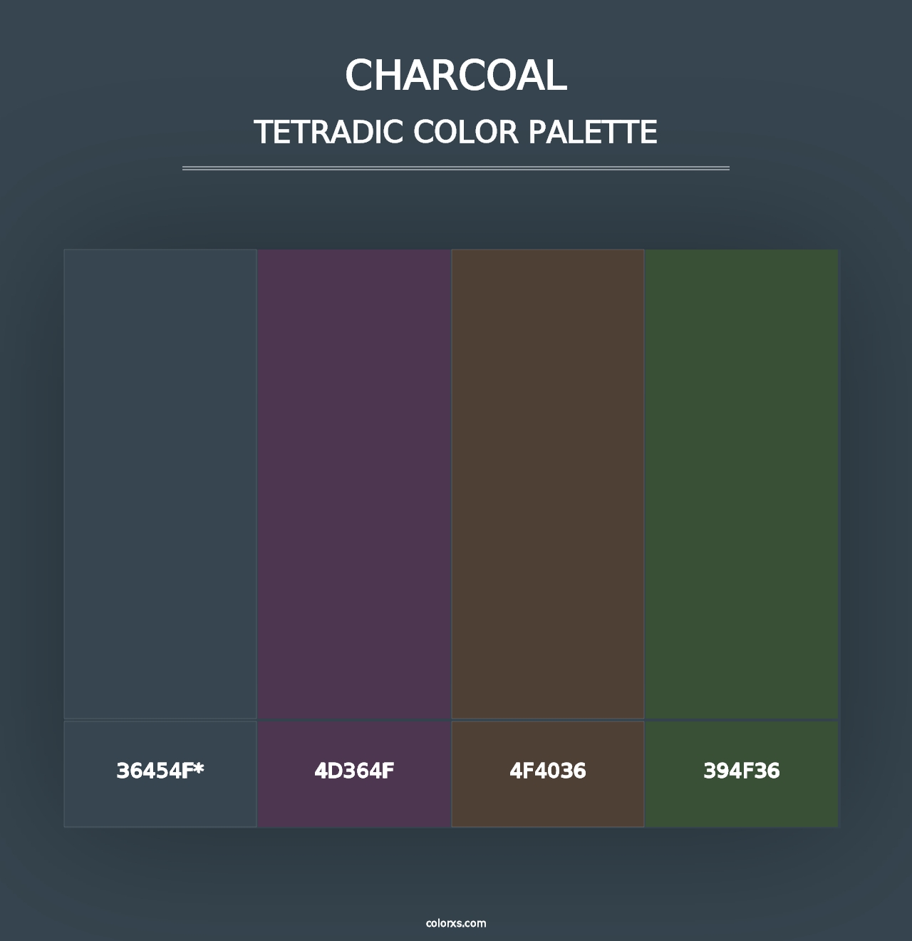 Charcoal - Tetradic Color Palette