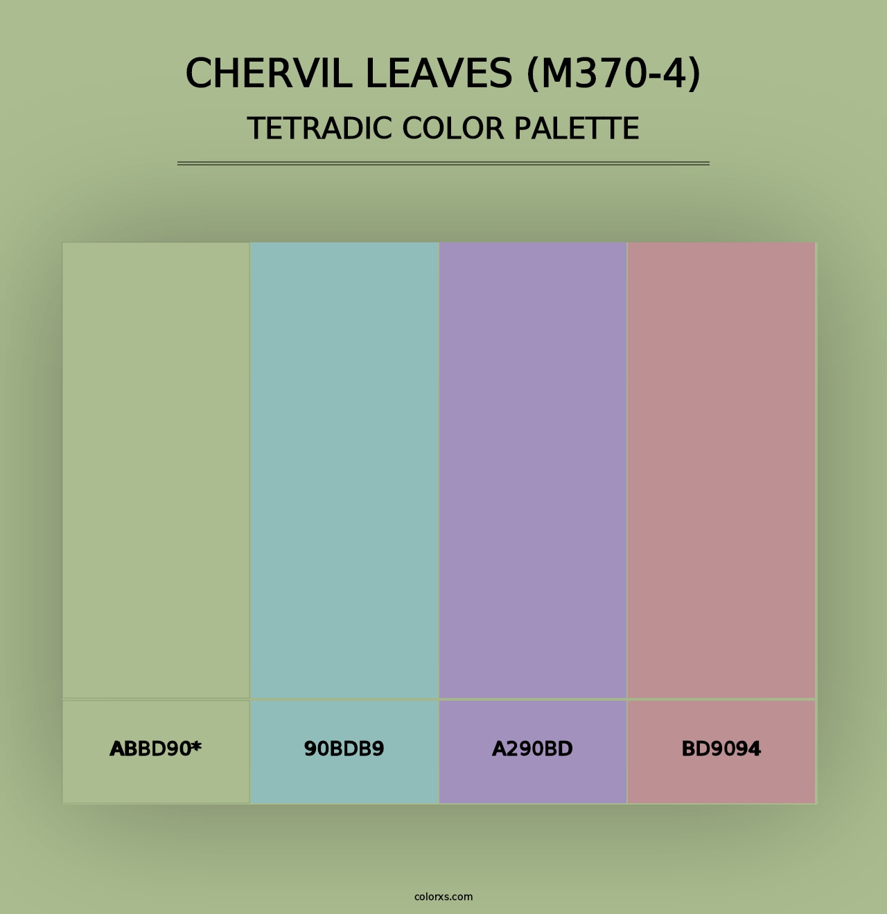 Chervil Leaves (M370-4) - Tetradic Color Palette