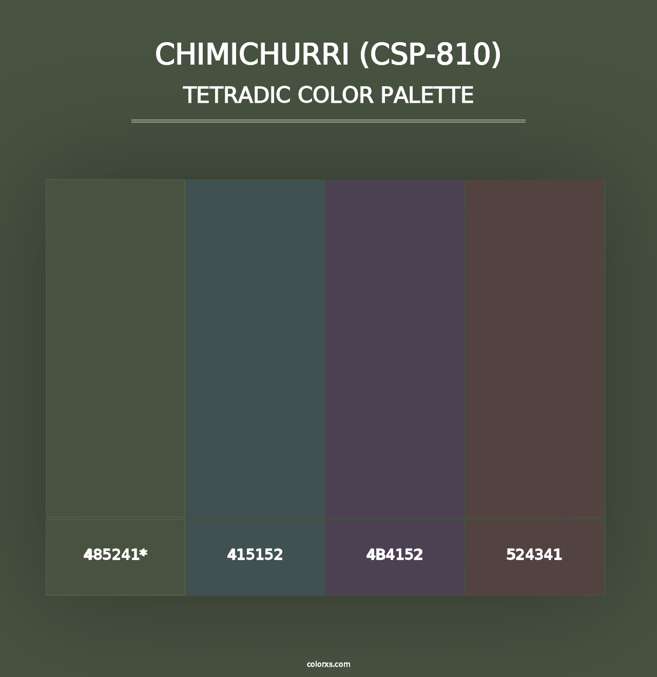 Chimichurri (CSP-810) - Tetradic Color Palette