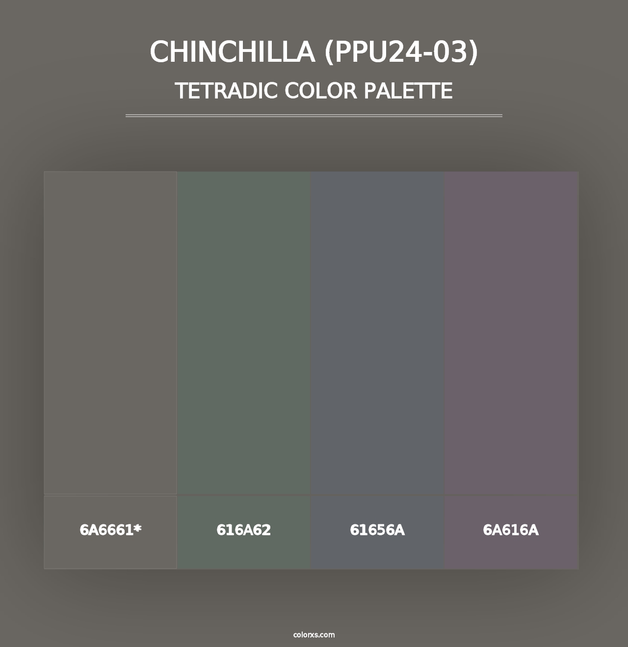 Chinchilla (PPU24-03) - Tetradic Color Palette