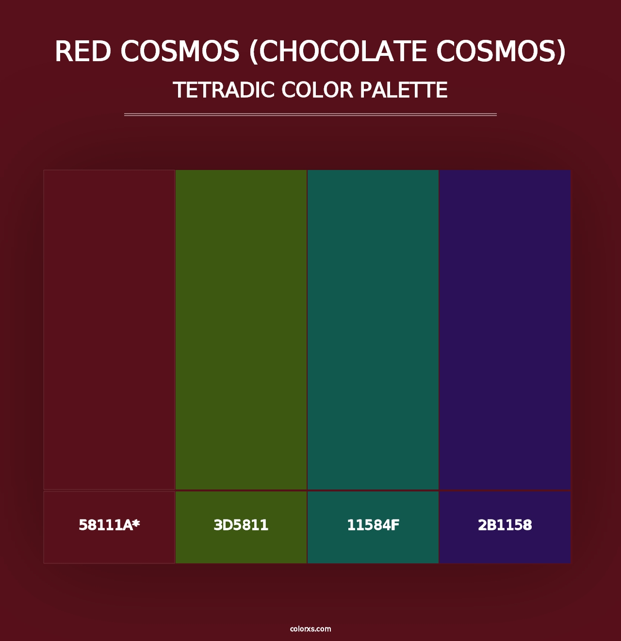 Red Cosmos (Chocolate Cosmos) - Tetradic Color Palette