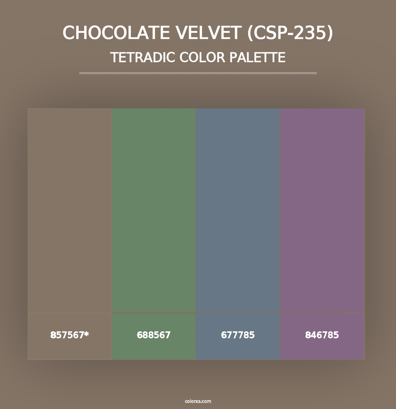 Chocolate Velvet (CSP-235) - Tetradic Color Palette