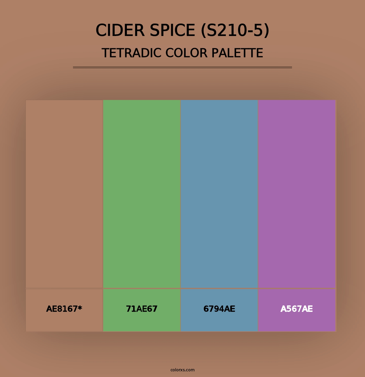 Cider Spice (S210-5) - Tetradic Color Palette