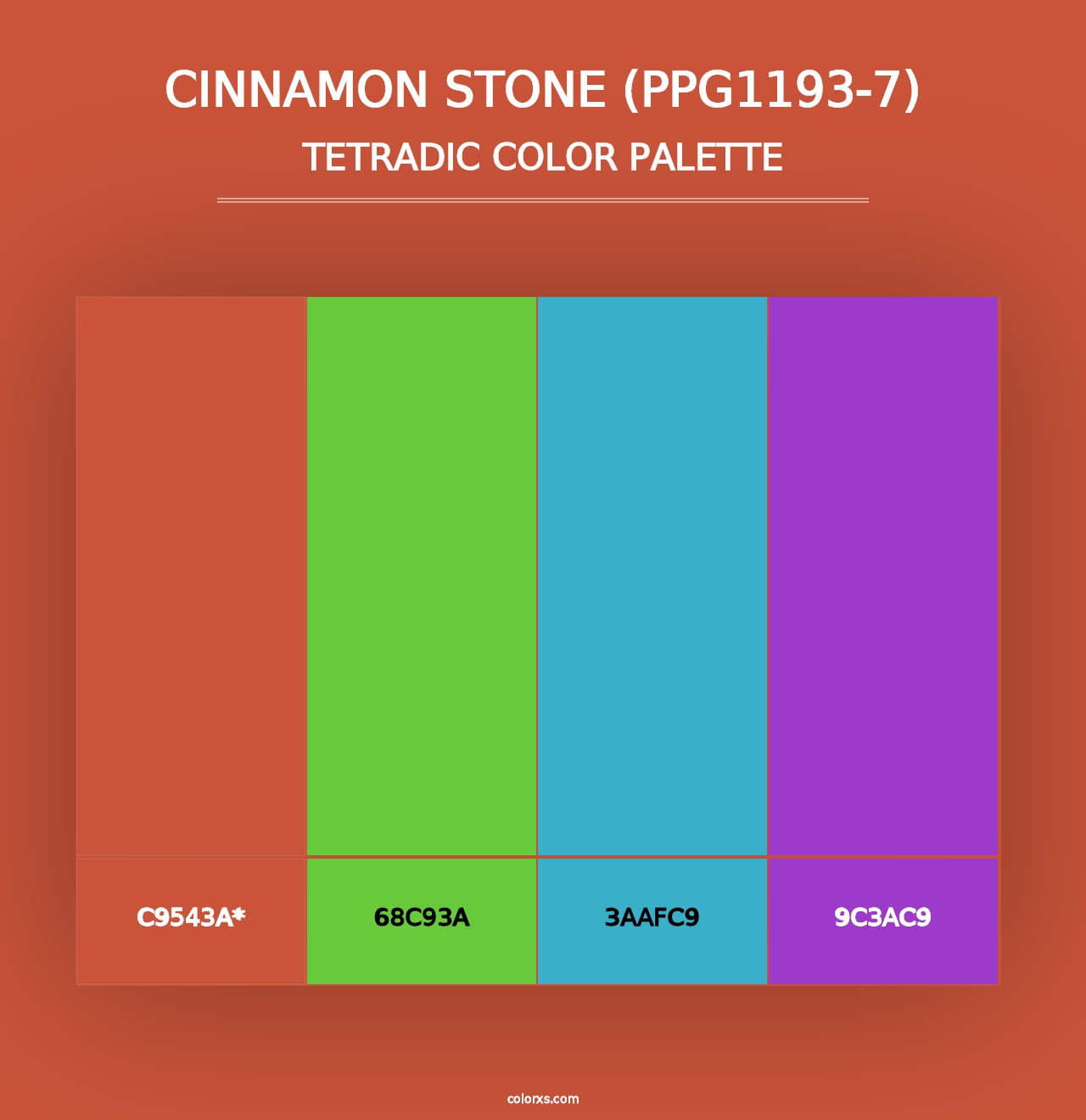 Cinnamon Stone (PPG1193-7) - Tetradic Color Palette