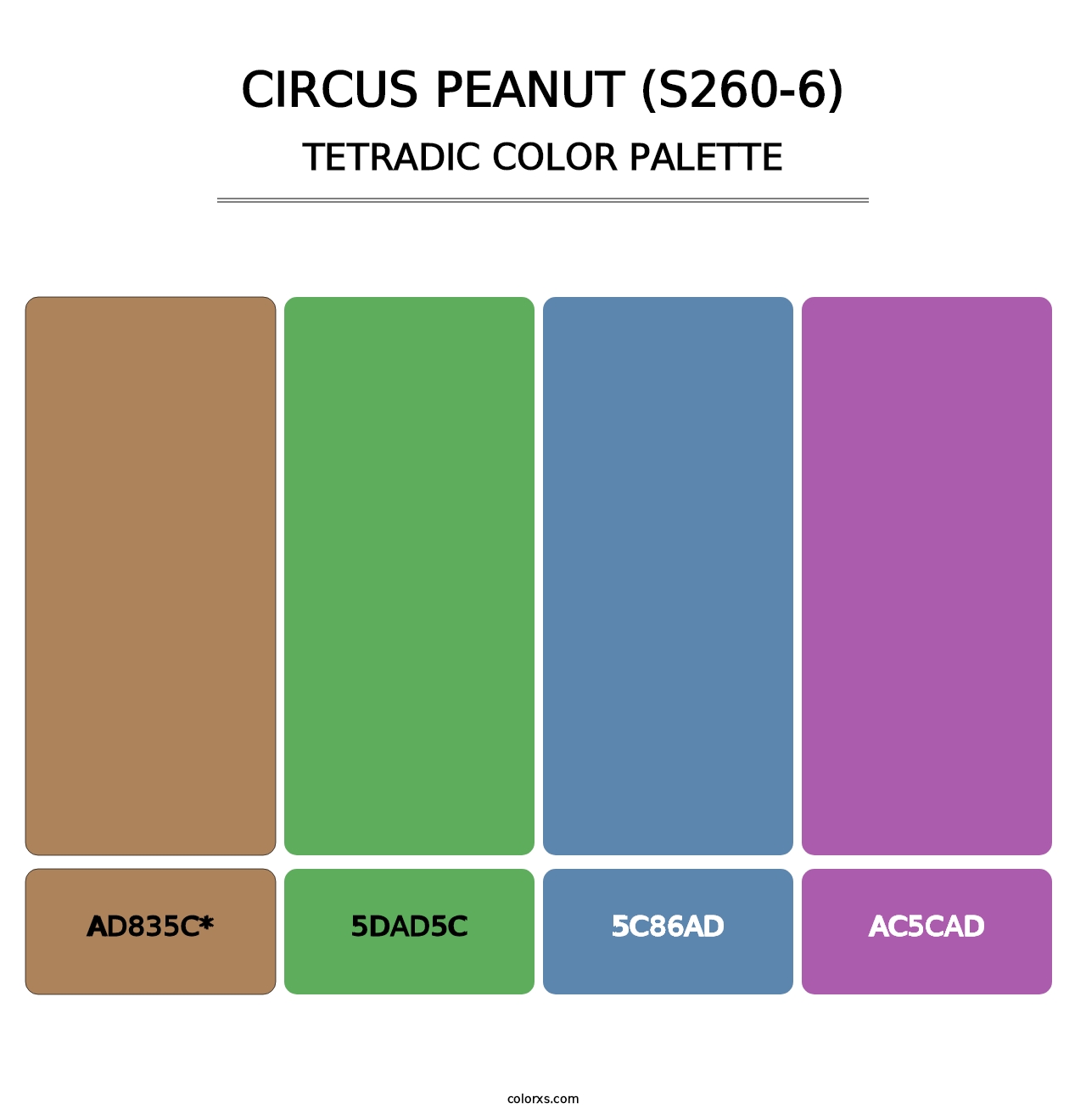 Circus Peanut (S260-6) - Tetradic Color Palette