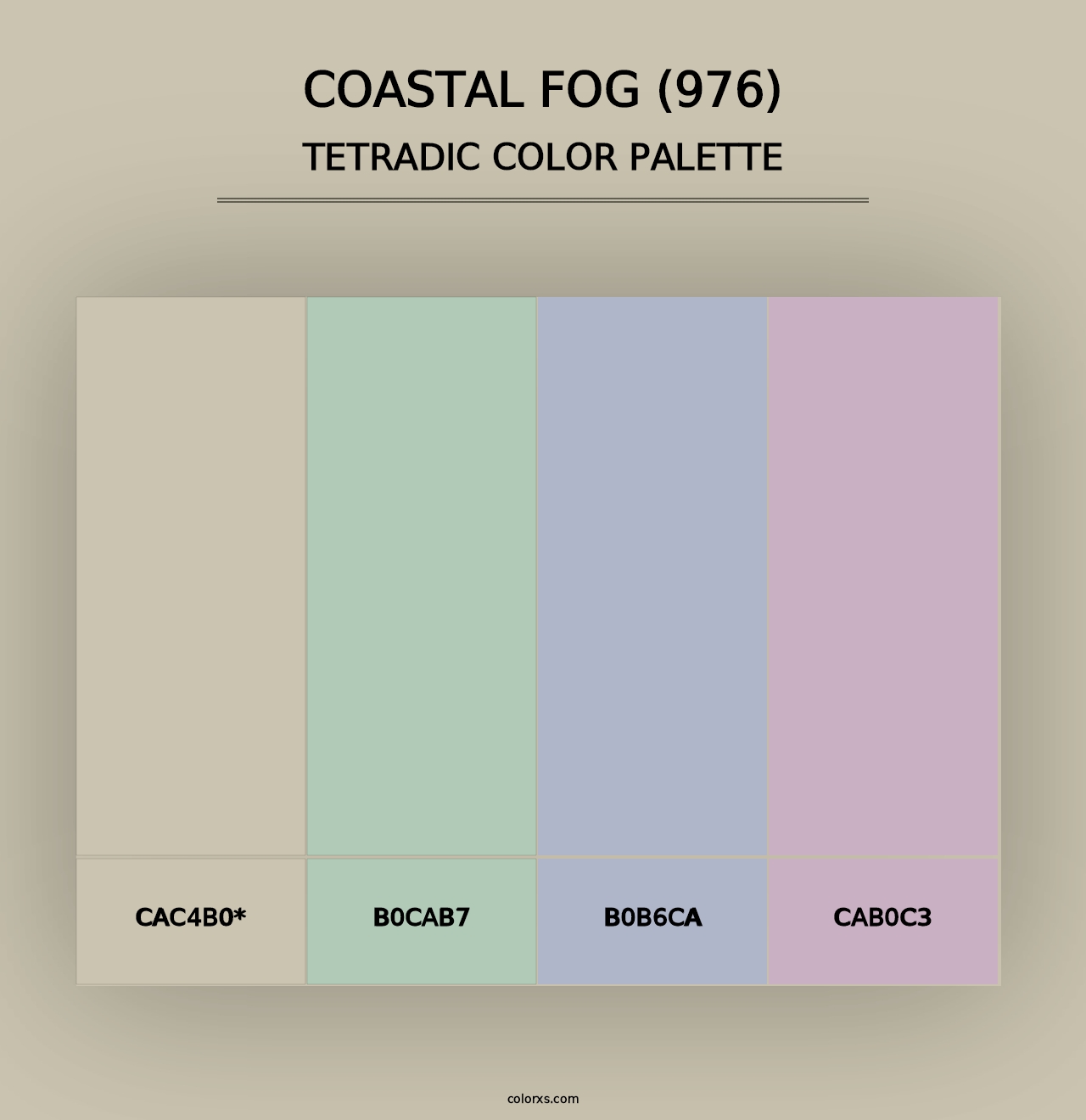 Coastal Fog (976) - Tetradic Color Palette