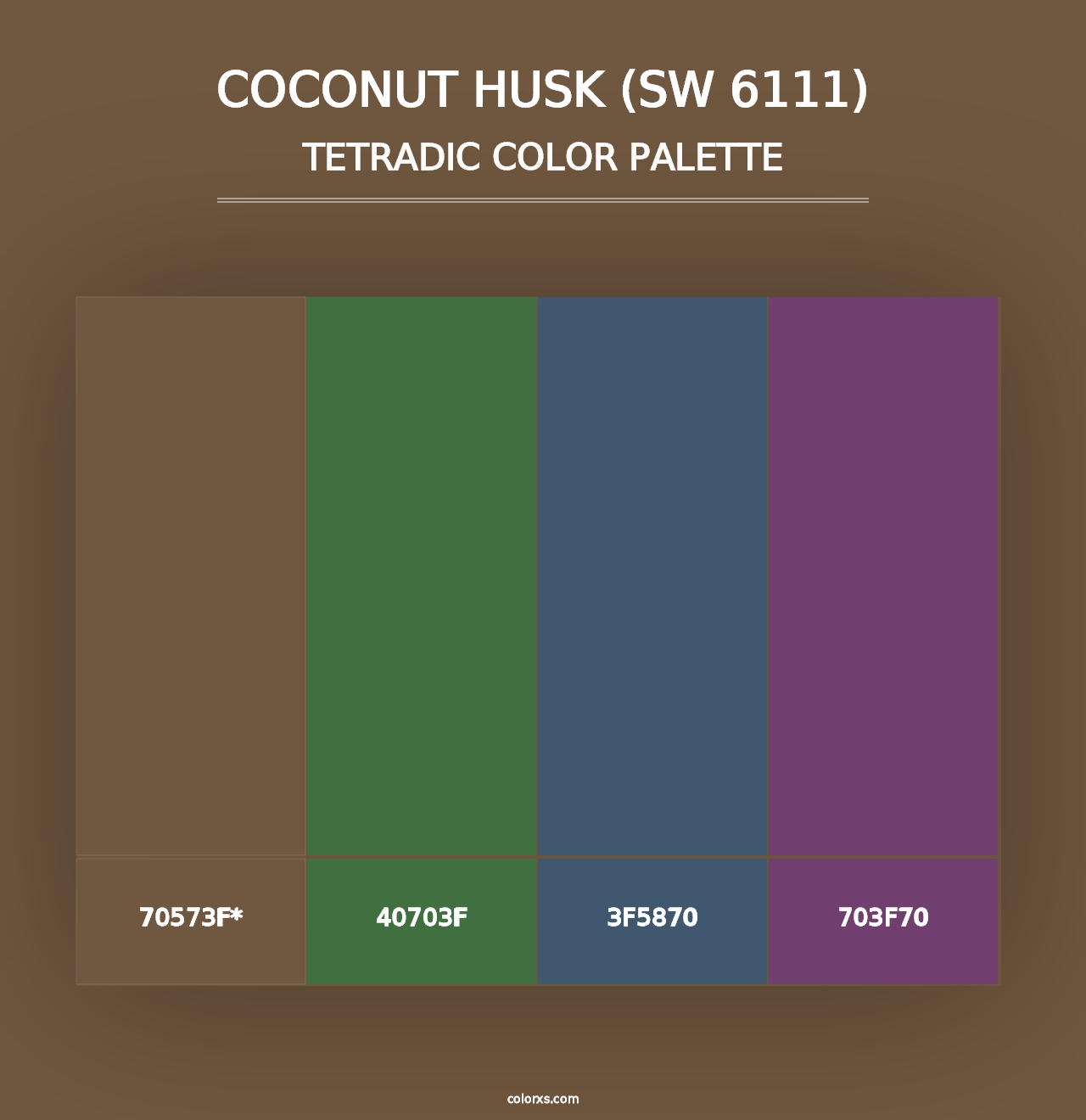 Coconut Husk (SW 6111) - Tetradic Color Palette