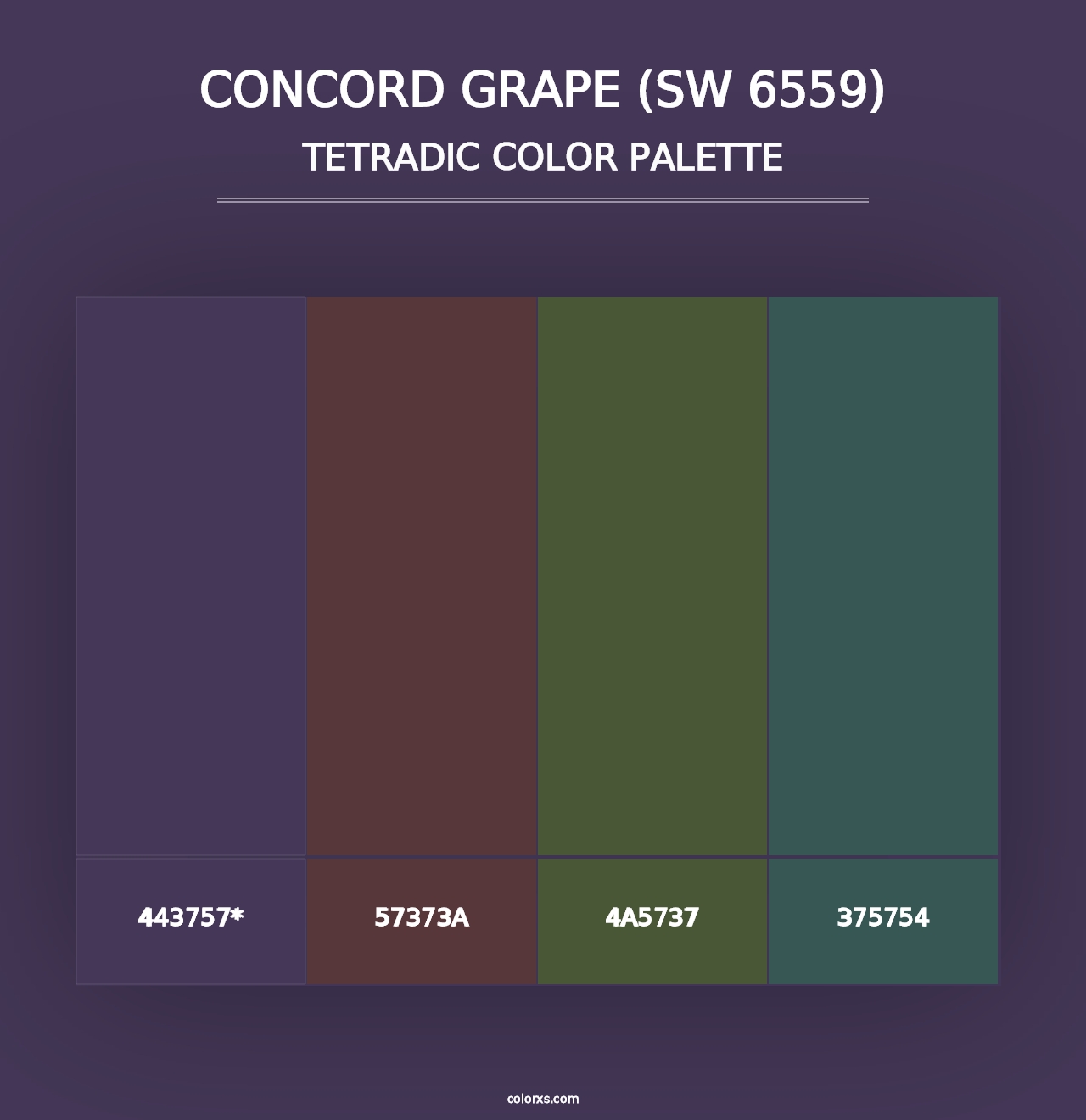 Concord Grape (SW 6559) - Tetradic Color Palette