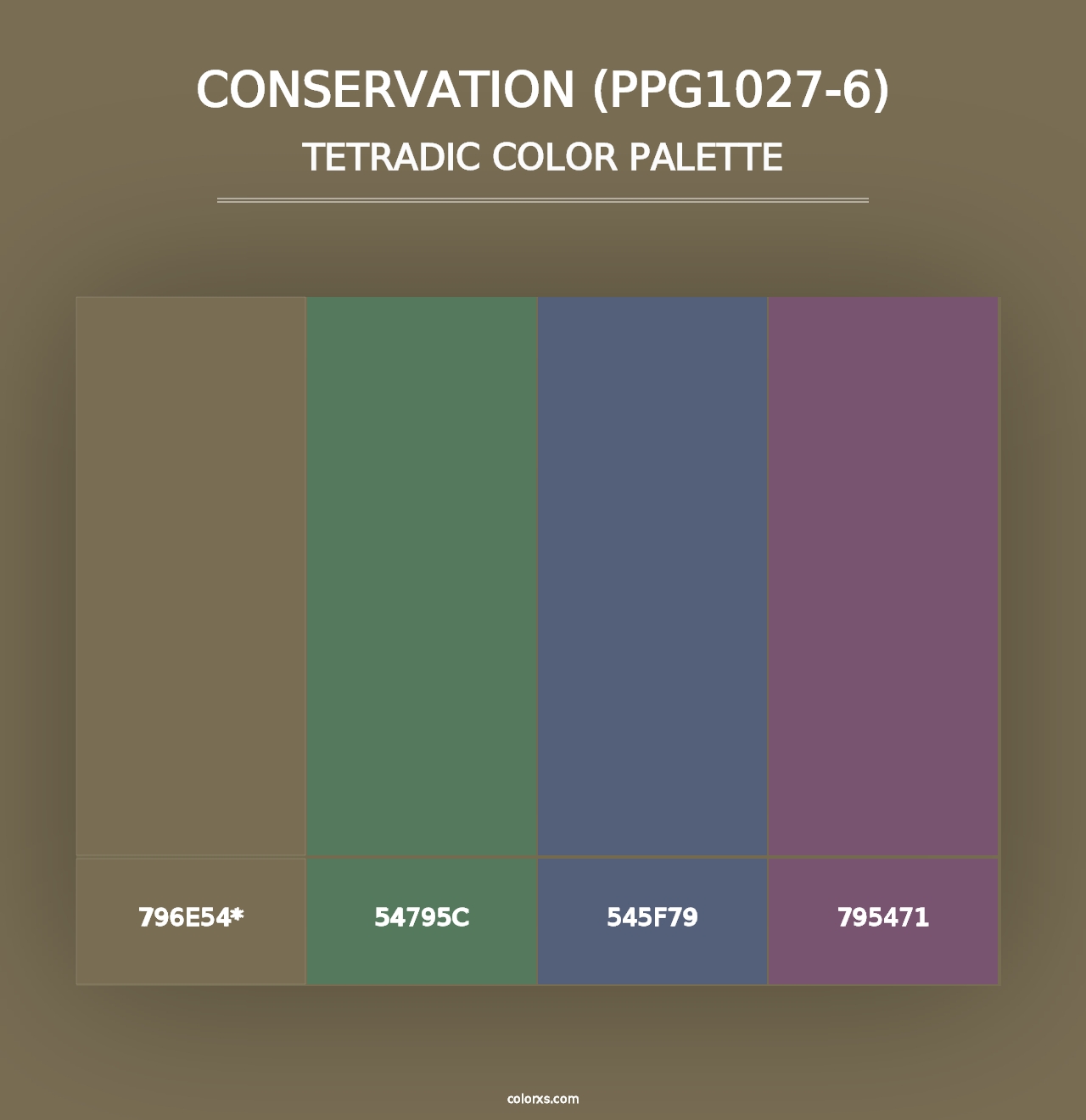 Conservation (PPG1027-6) - Tetradic Color Palette