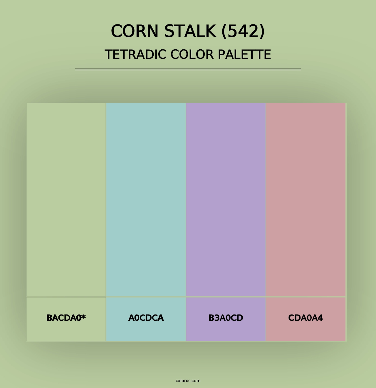 Corn Stalk (542) - Tetradic Color Palette