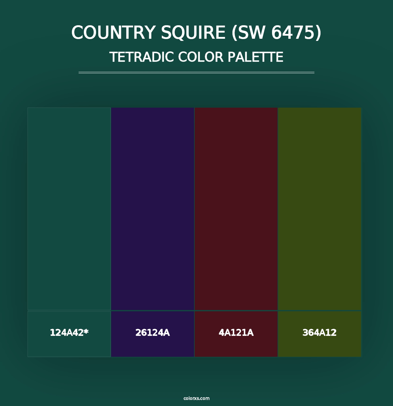 Country Squire (SW 6475) - Tetradic Color Palette