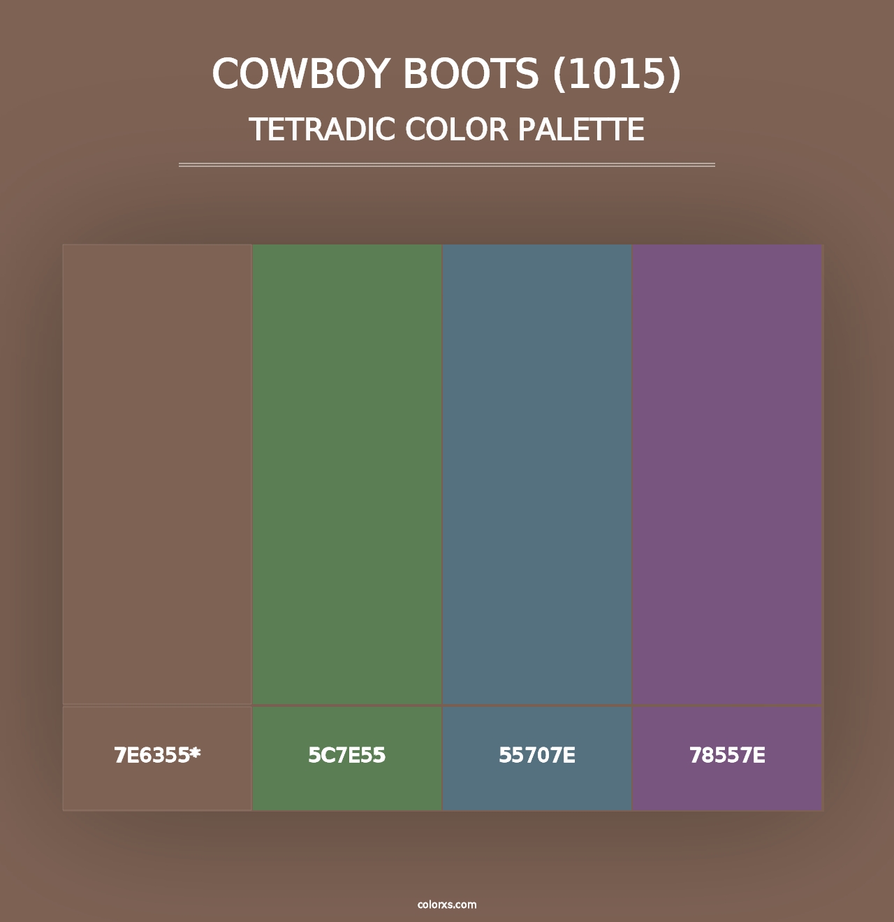 Cowboy Boots (1015) - Tetradic Color Palette