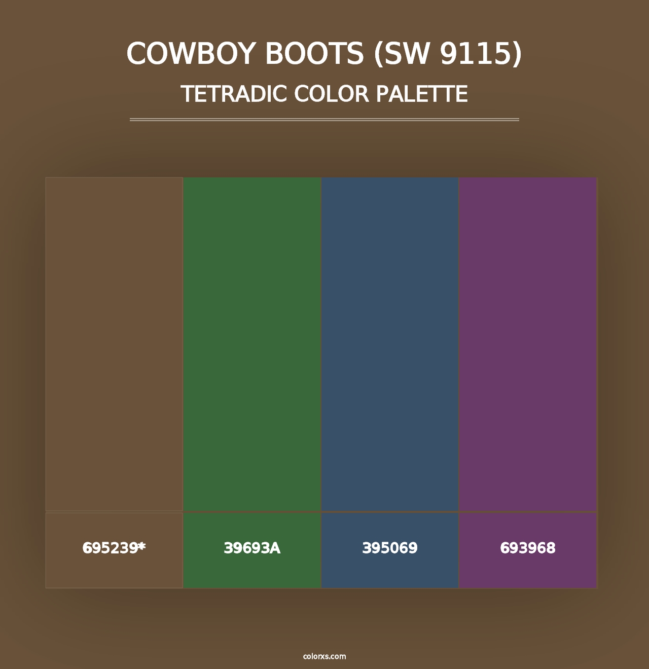 Cowboy Boots (SW 9115) - Tetradic Color Palette