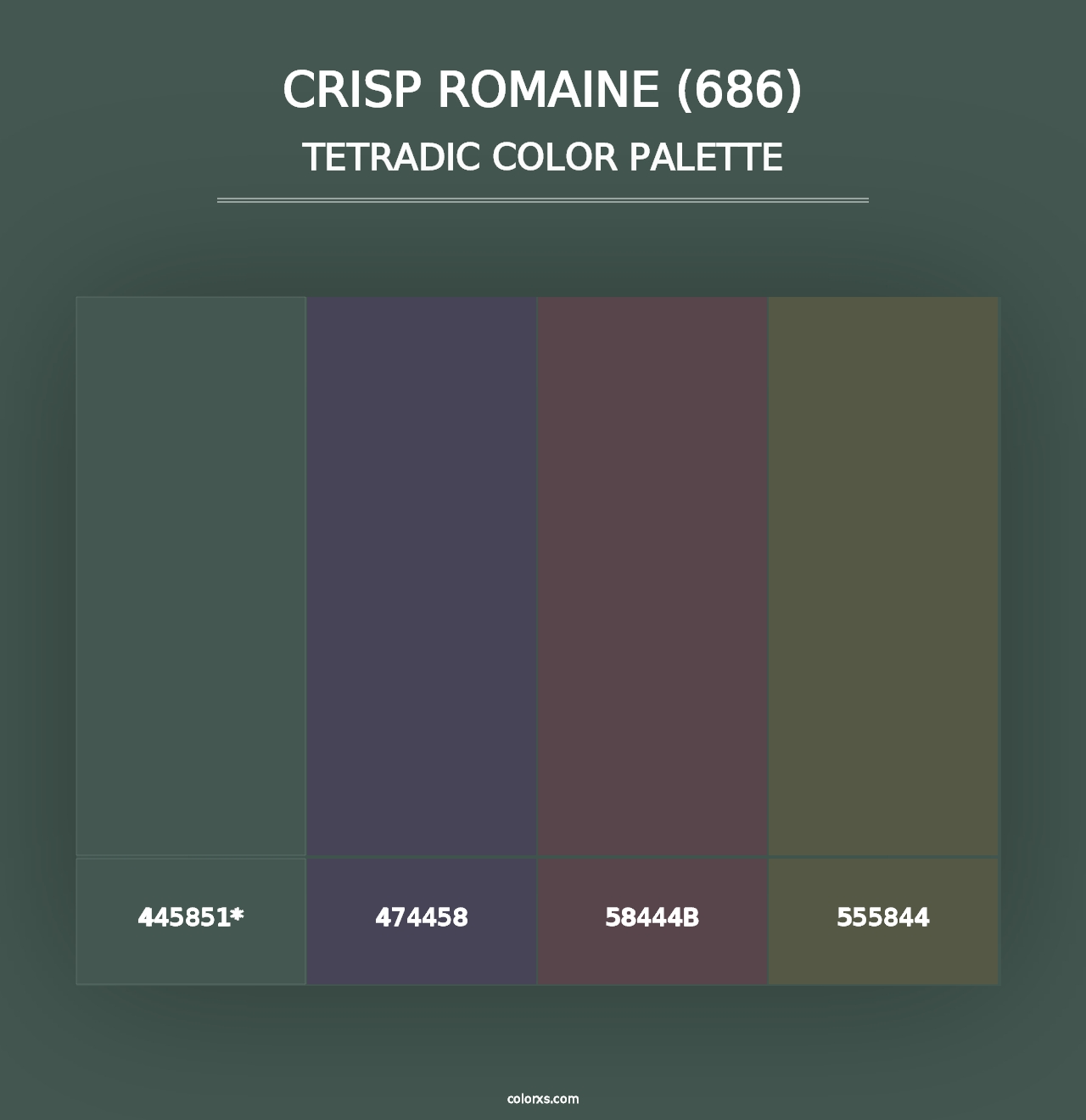 Crisp Romaine (686) - Tetradic Color Palette