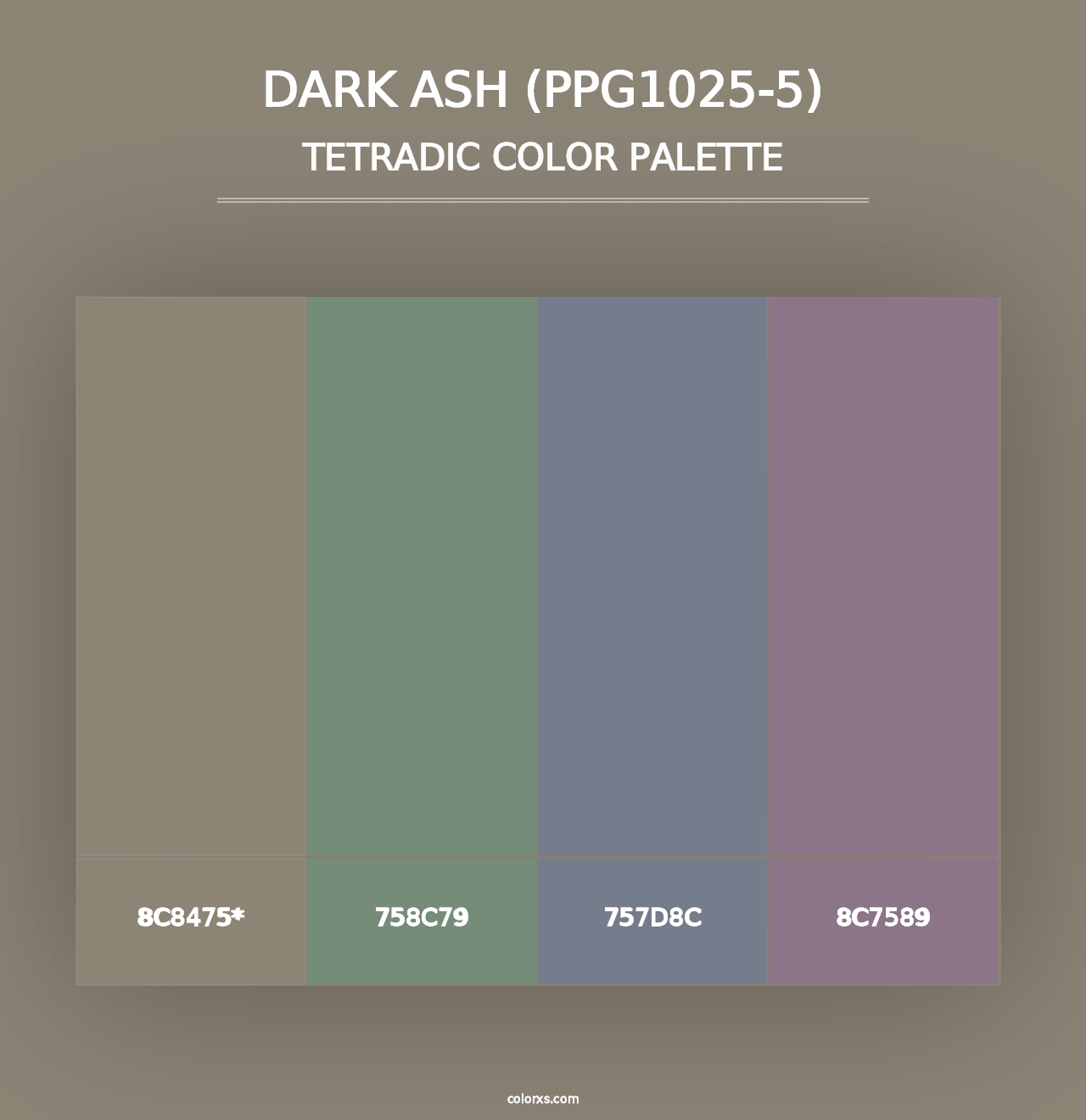 Dark Ash (PPG1025-5) - Tetradic Color Palette