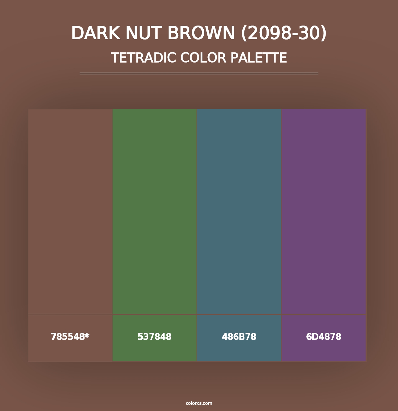 Dark Nut Brown (2098-30) - Tetradic Color Palette