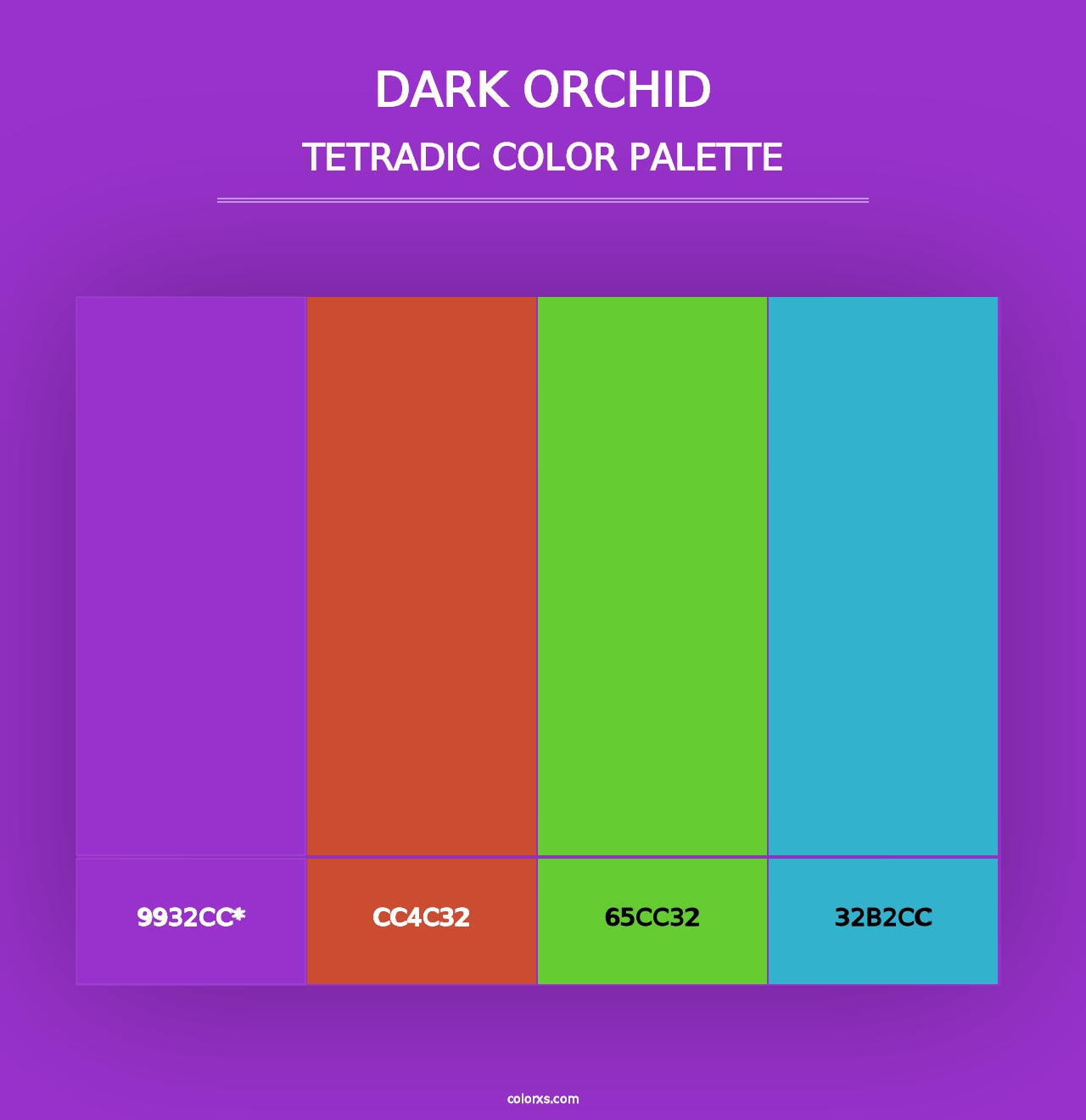 Dark Orchid - Tetradic Color Palette