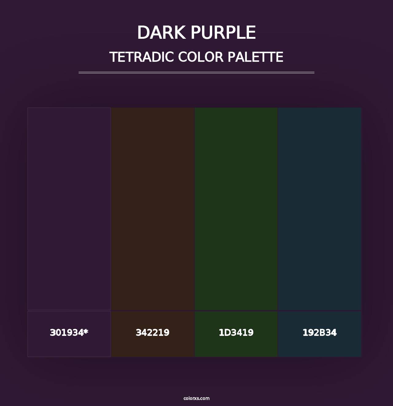 Dark Purple - Tetradic Color Palette