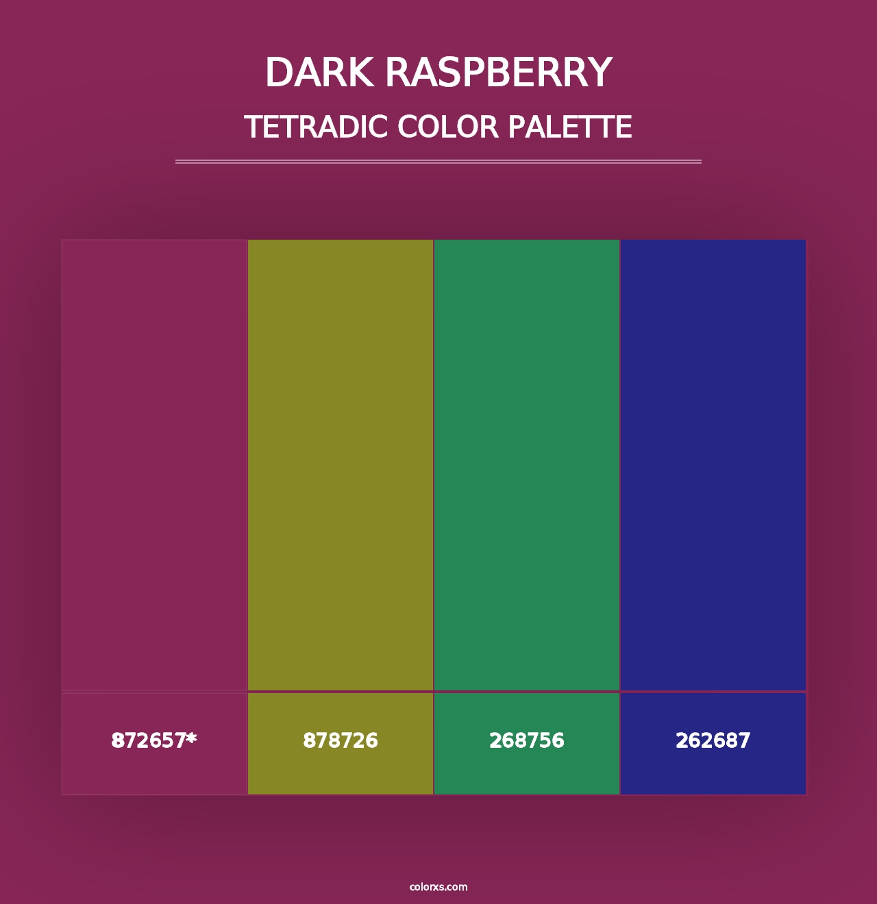 Dark Raspberry - Tetradic Color Palette