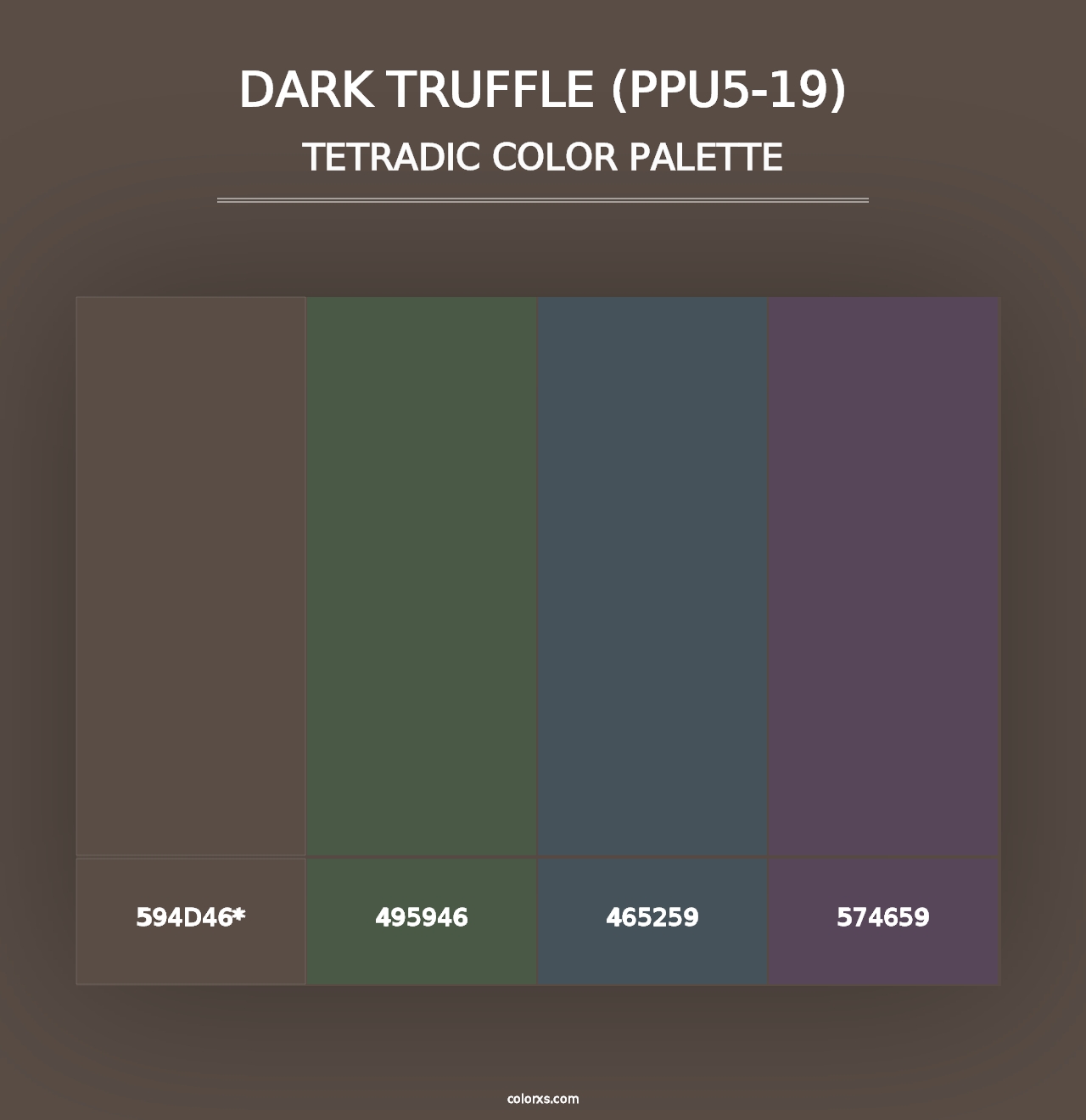 Dark Truffle (PPU5-19) - Tetradic Color Palette