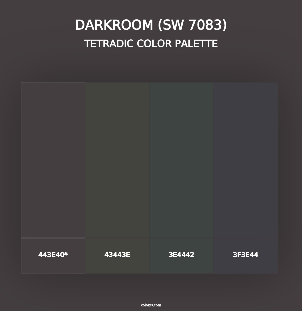 Darkroom (SW 7083) - Tetradic Color Palette