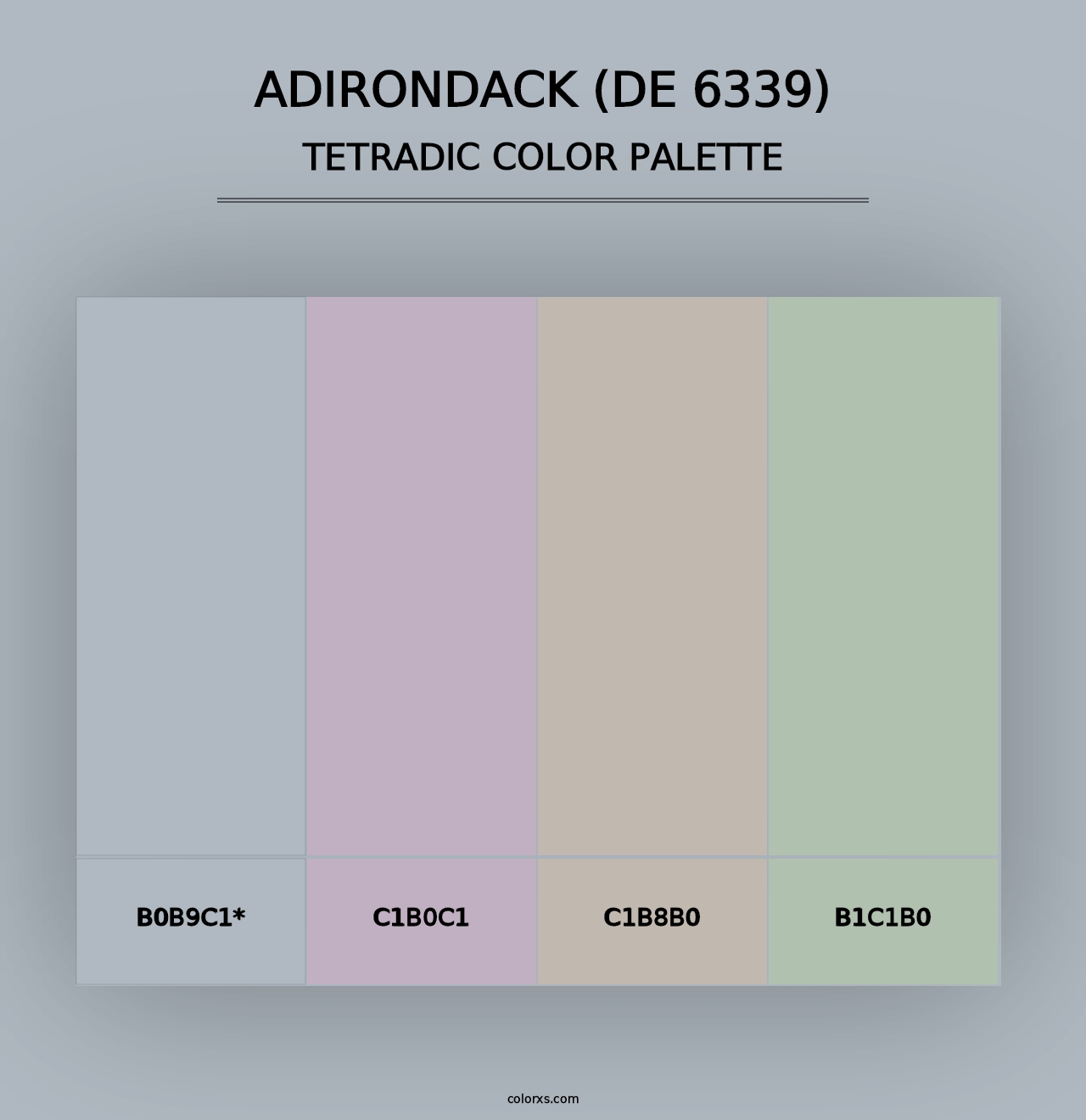 Adirondack (DE 6339) - Tetradic Color Palette