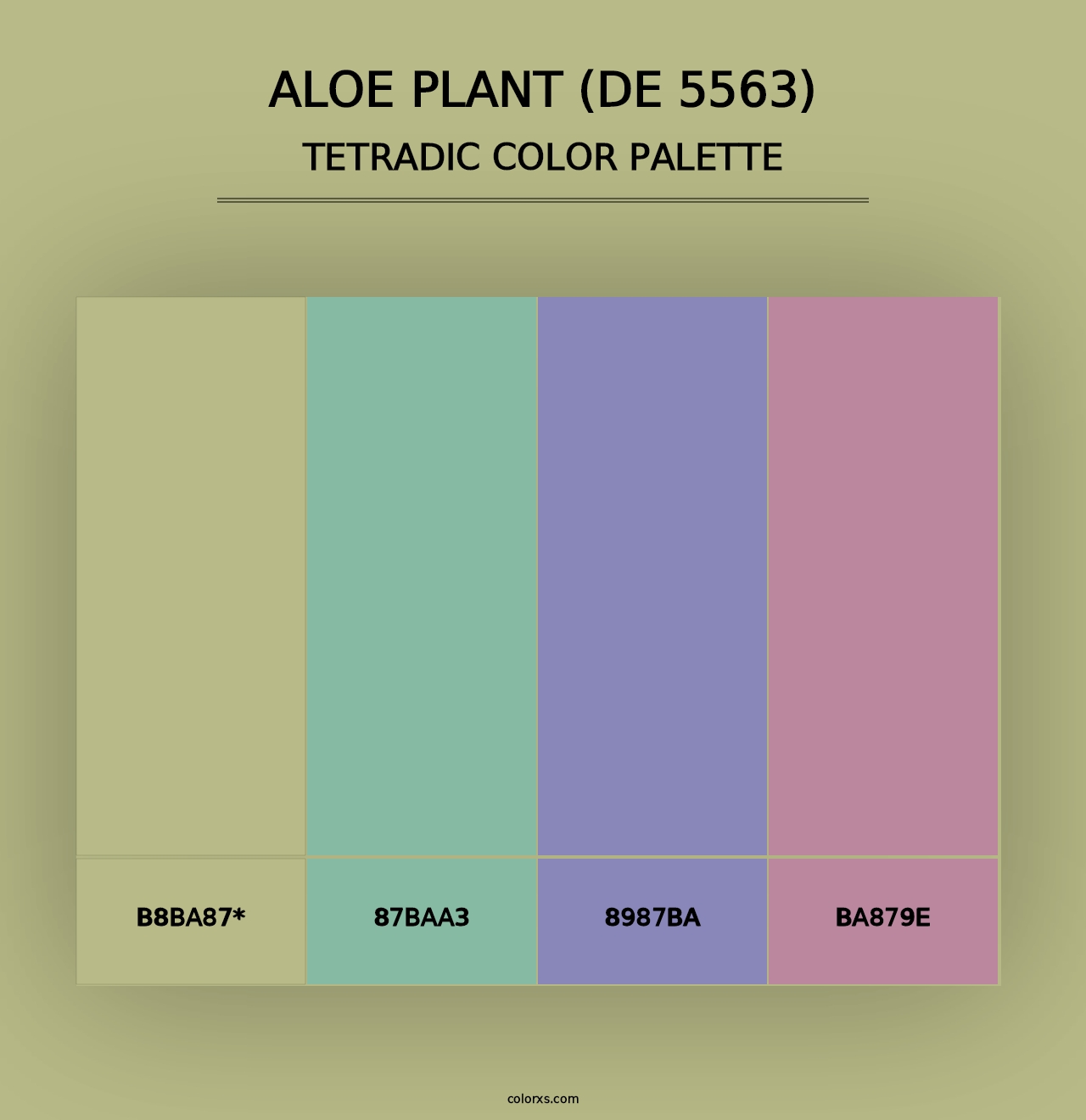 Aloe Plant (DE 5563) - Tetradic Color Palette