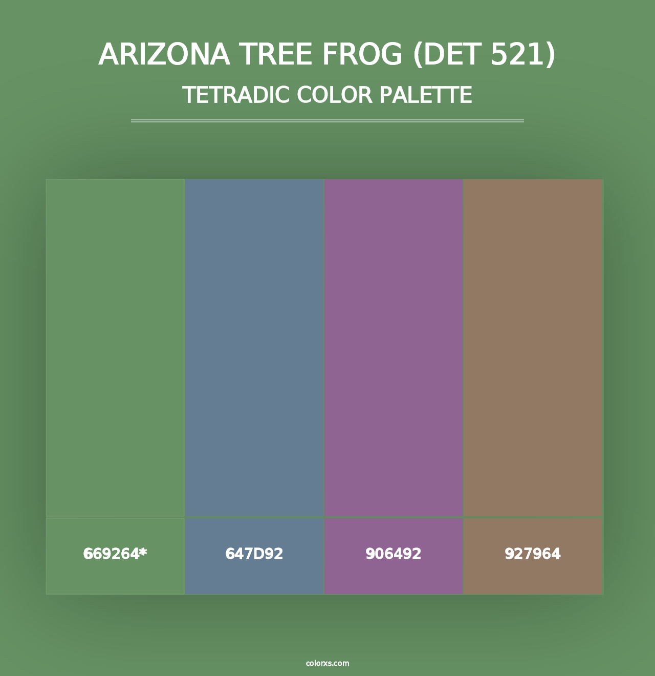 Arizona Tree Frog (DET 521) - Tetradic Color Palette