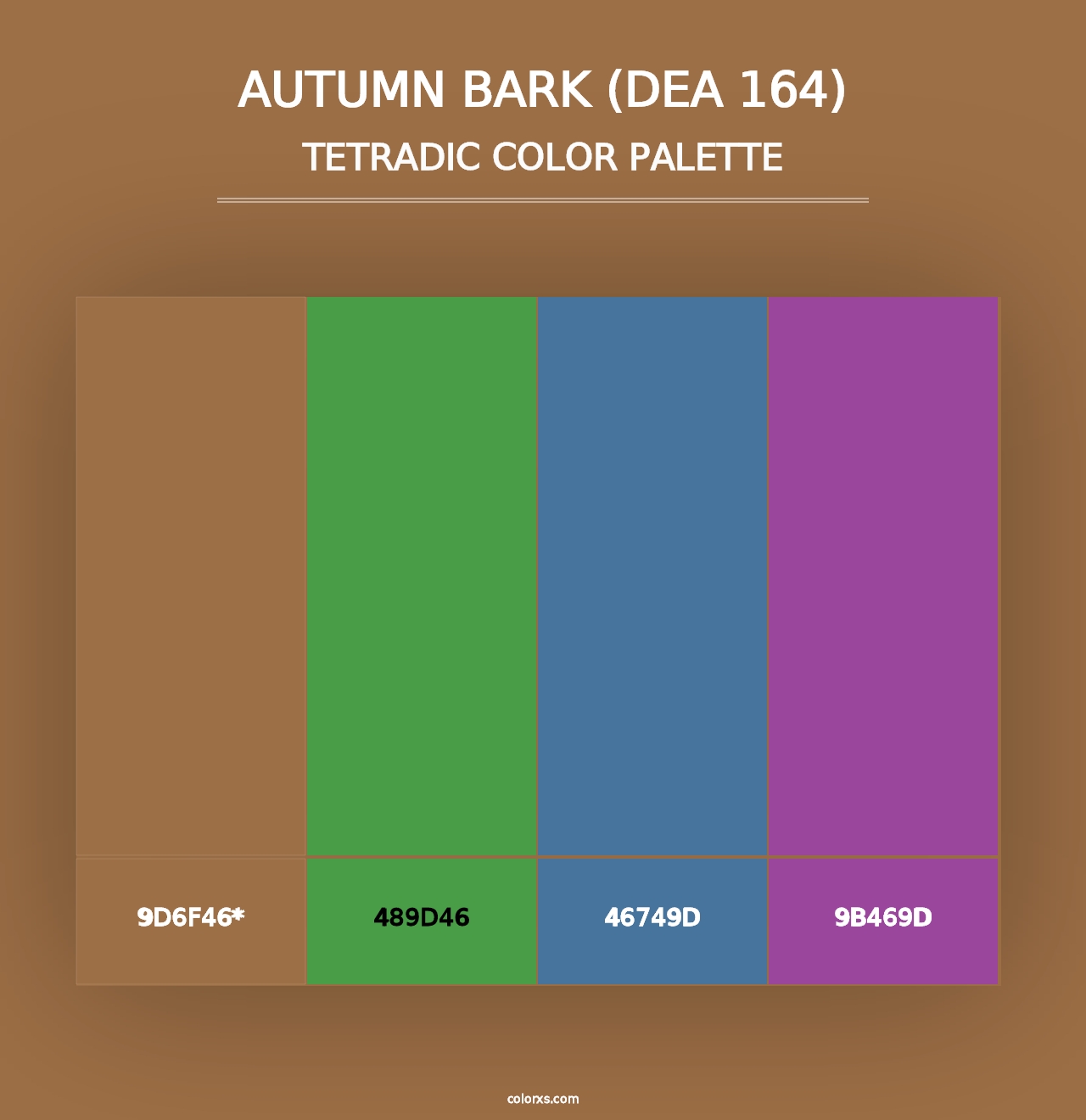 Autumn Bark (DEA 164) - Tetradic Color Palette