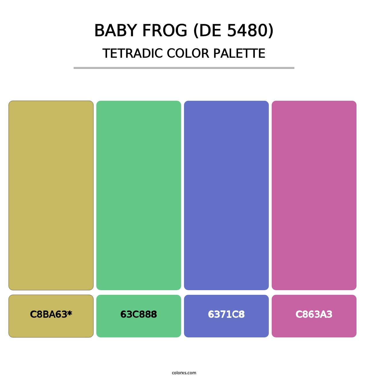 Baby Frog (DE 5480) - Tetradic Color Palette