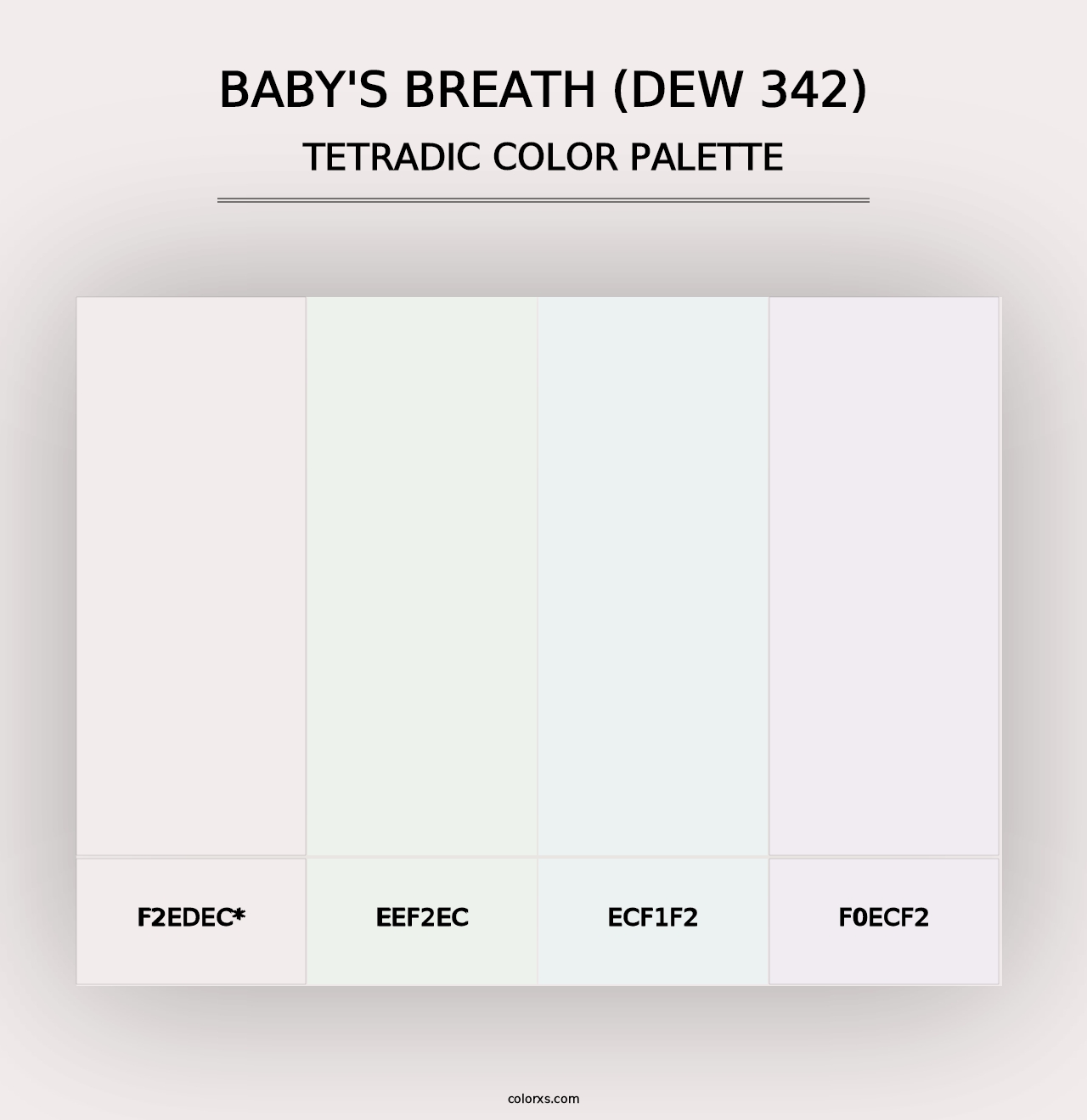 Baby's Breath (DEW 342) - Tetradic Color Palette