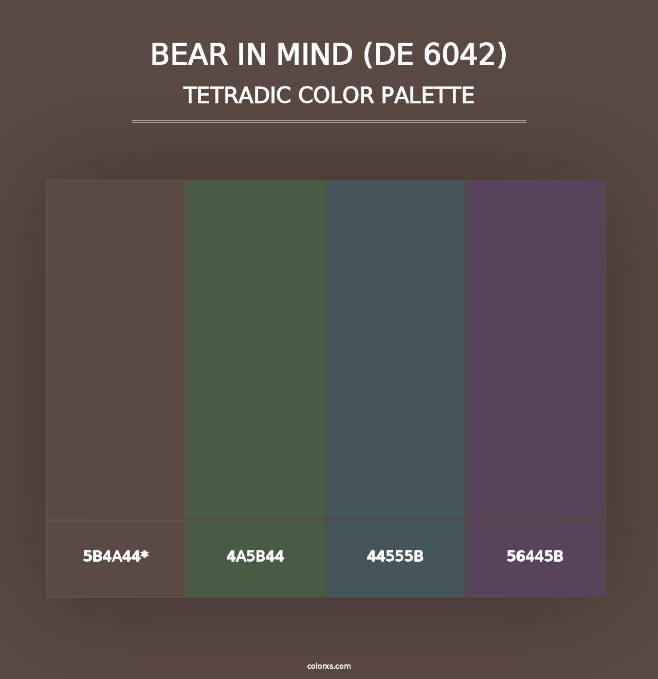 Bear in Mind (DE 6042) - Tetradic Color Palette