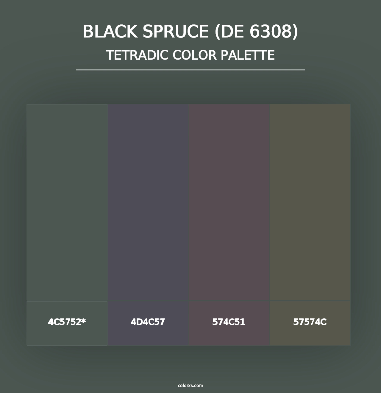 Black Spruce (DE 6308) - Tetradic Color Palette