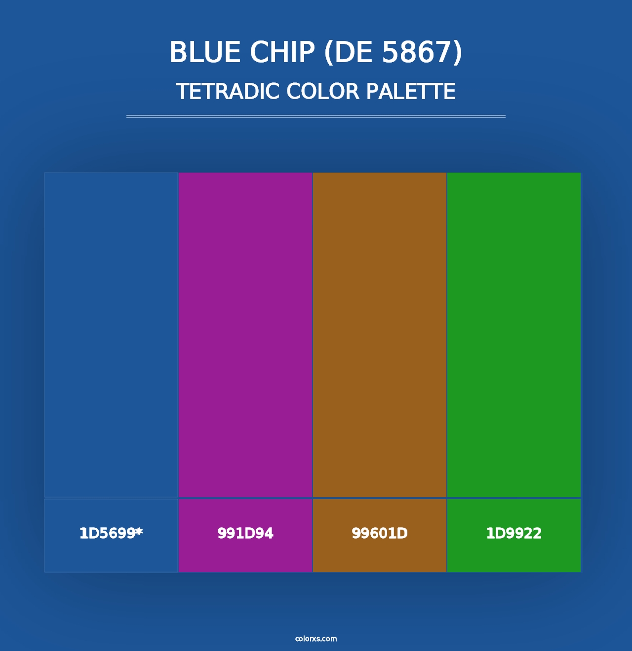 Blue Chip (DE 5867) - Tetradic Color Palette