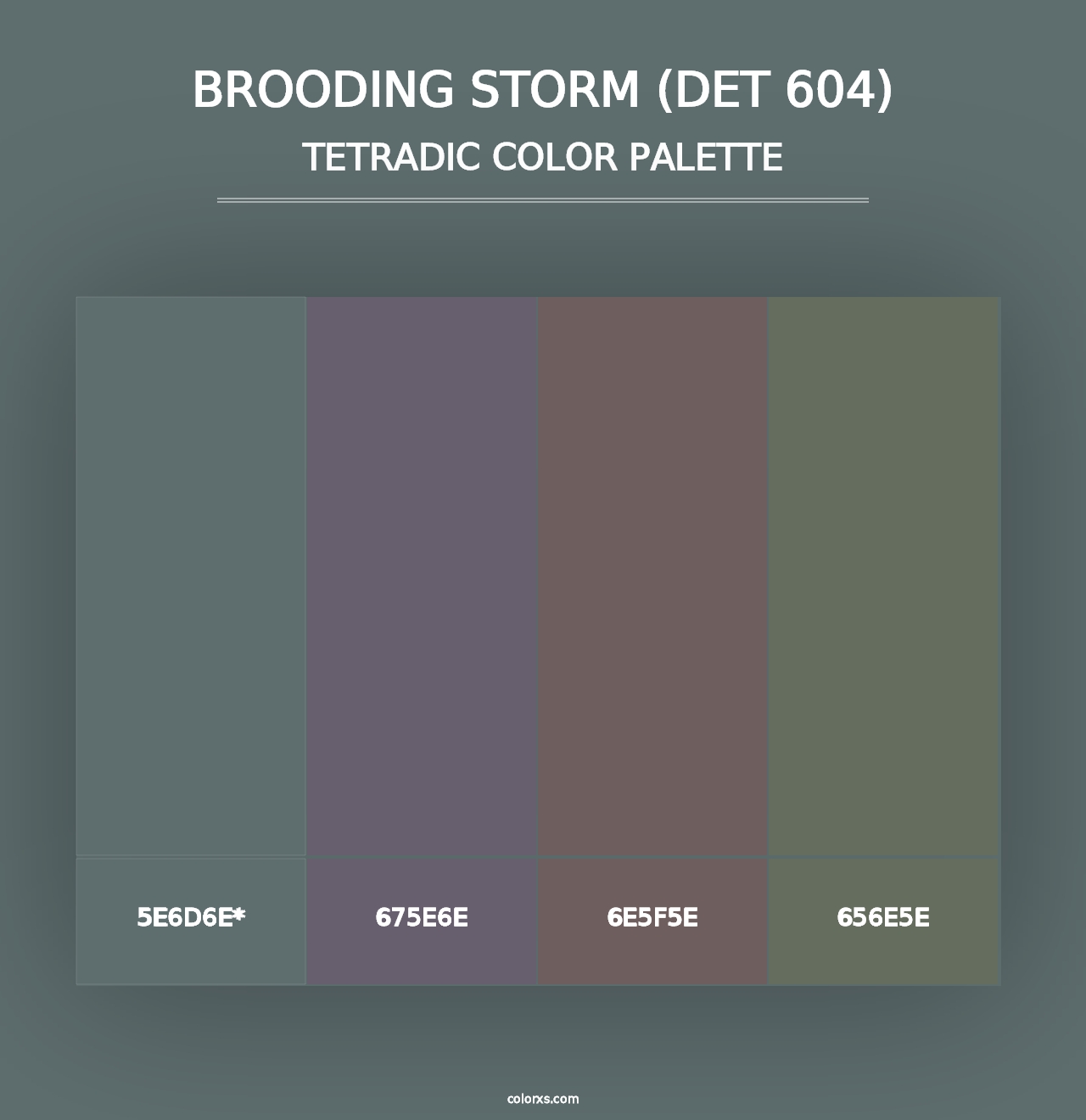 Brooding Storm (DET 604) - Tetradic Color Palette