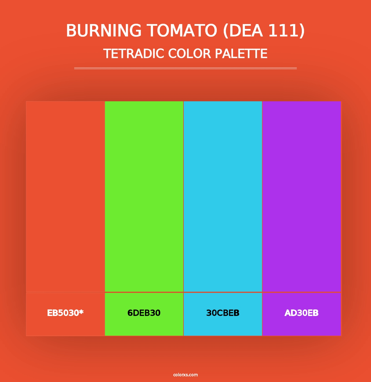 Burning Tomato (DEA 111) - Tetradic Color Palette