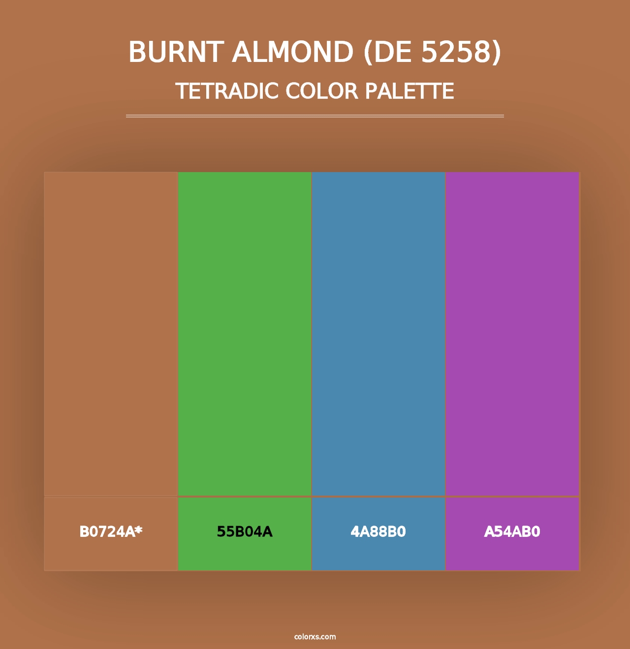 Burnt Almond (DE 5258) - Tetradic Color Palette