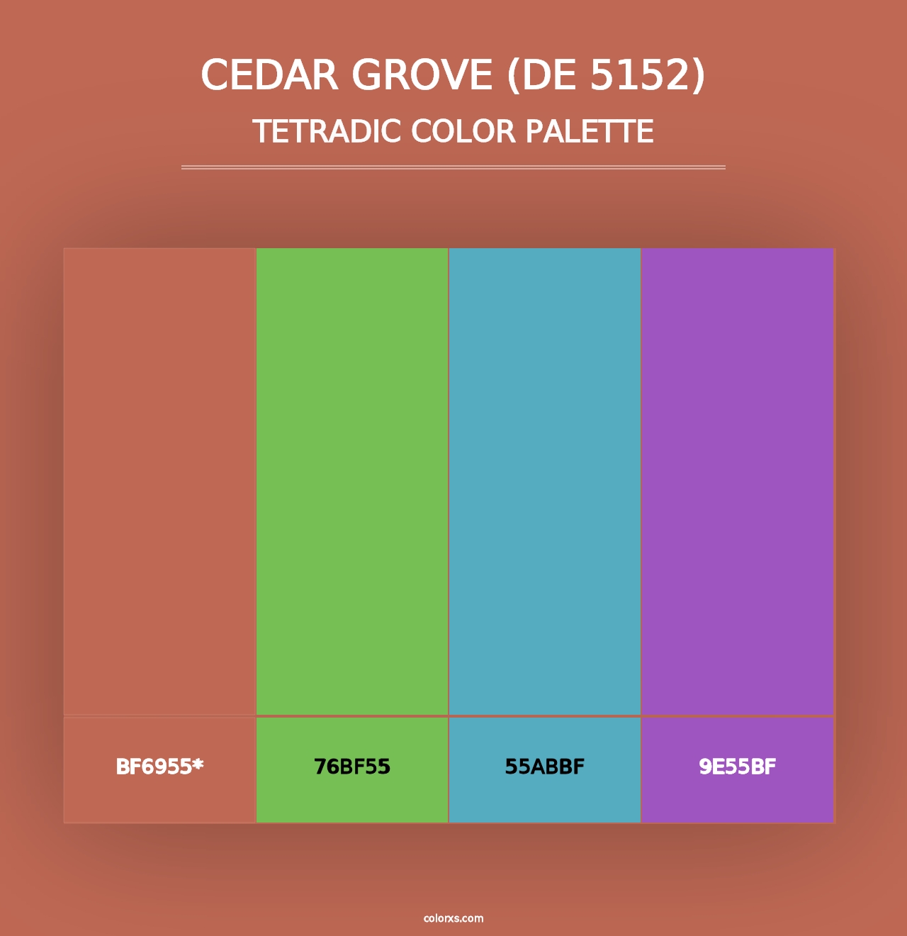 Cedar Grove (DE 5152) - Tetradic Color Palette