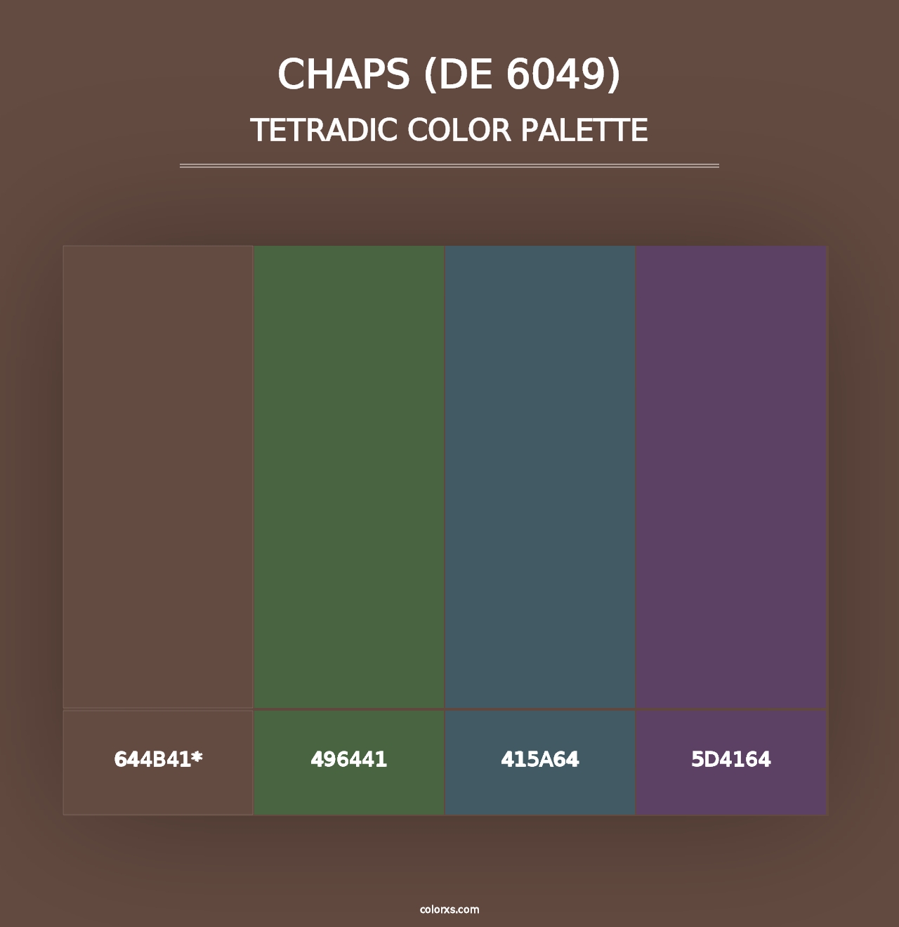 Chaps (DE 6049) - Tetradic Color Palette