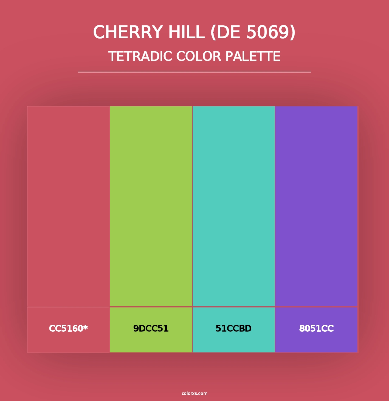 Cherry Hill (DE 5069) - Tetradic Color Palette