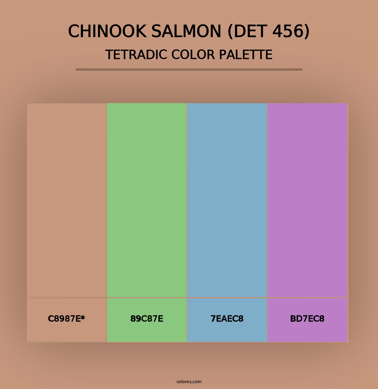 Chinook Salmon (DET 456) - Tetradic Color Palette