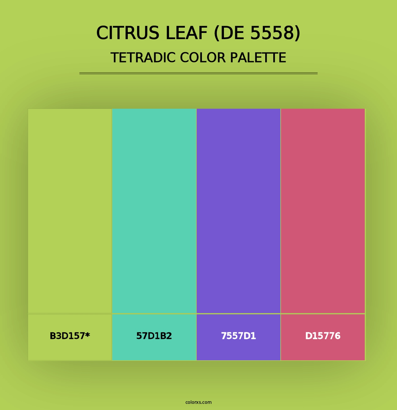 Citrus Leaf (DE 5558) - Tetradic Color Palette